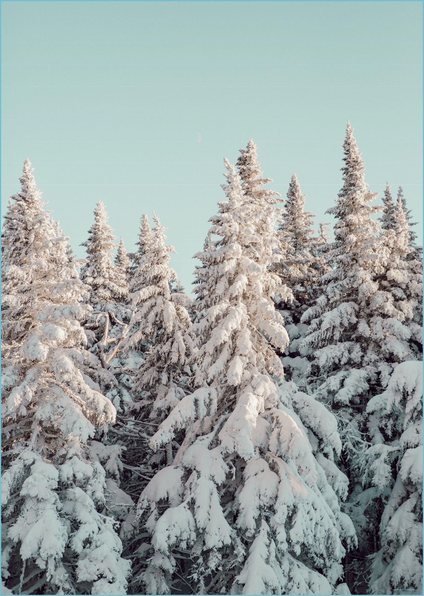 10 Perfect winter wallpaper aesthetic desktop You Can Use It Without A
