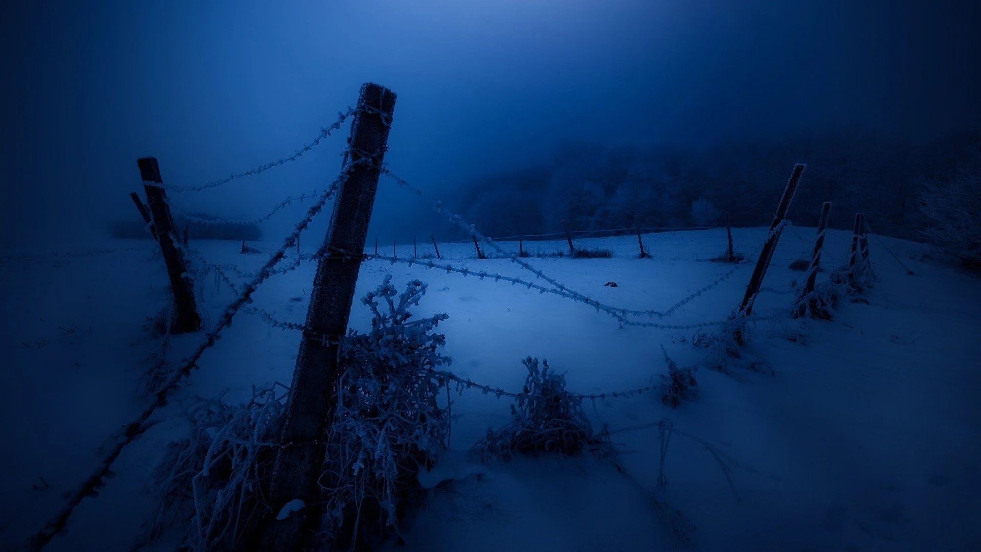 Dark Winter Night Wallpapers Wallpaper Cave