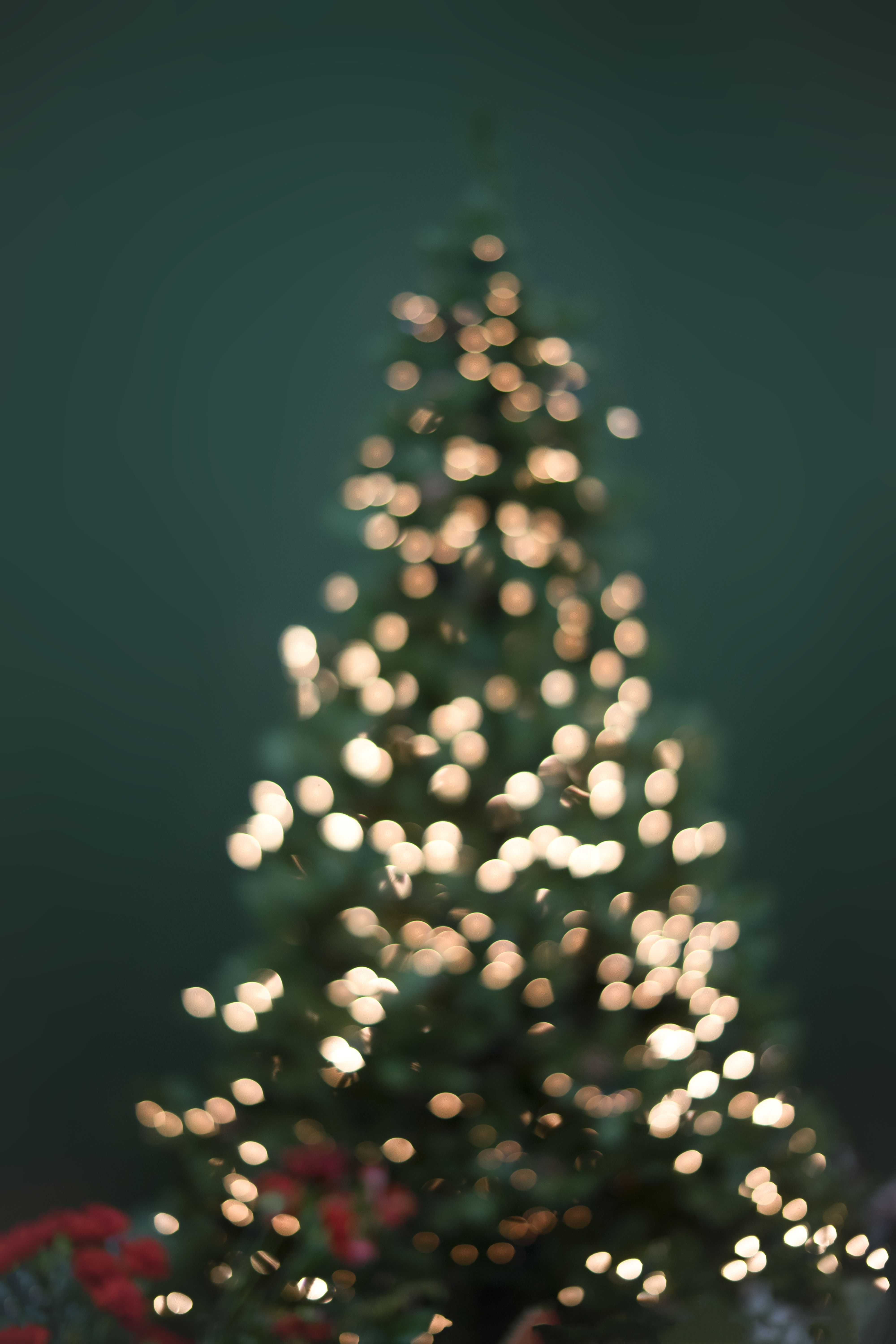 Aesthetic Christmas Profile Wallpapers Wallpaper Cave