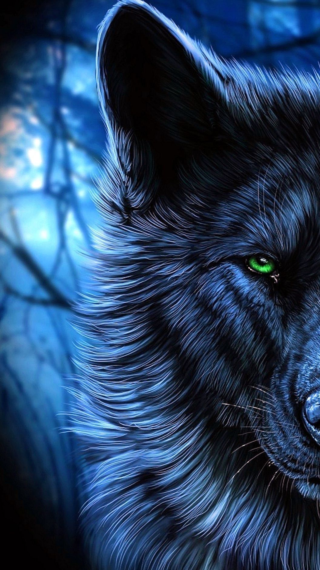 Lion And Wolf Wallpapers Wallpaper Cave