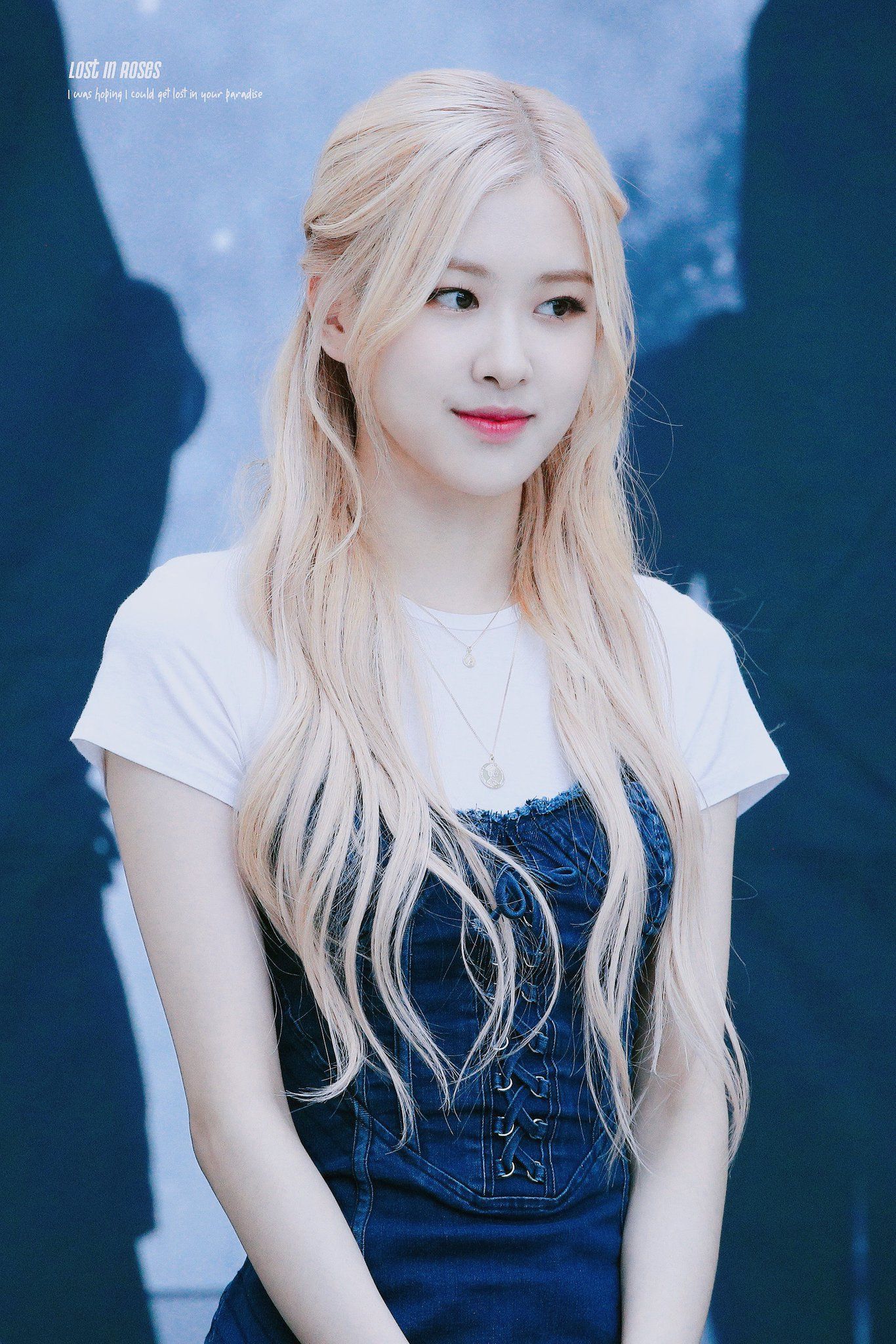 Blackpink Girl Rose Wallpapers Wallpaper Cave