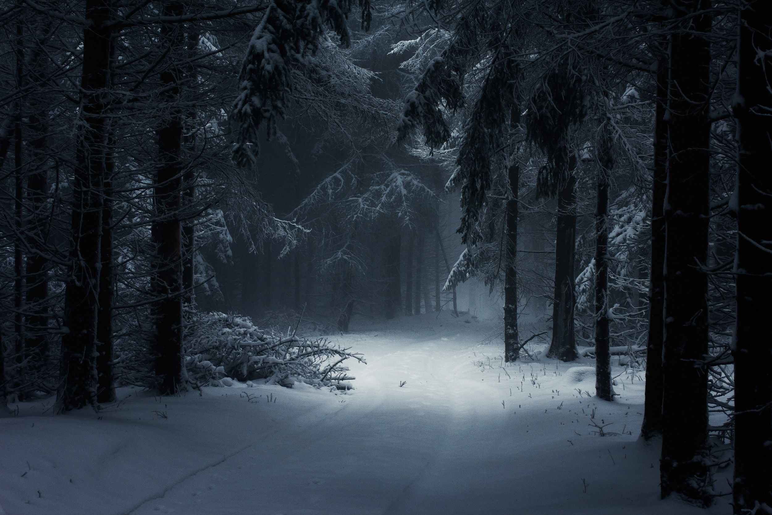 Winter Darkness Wallpapers Wallpaper Cave