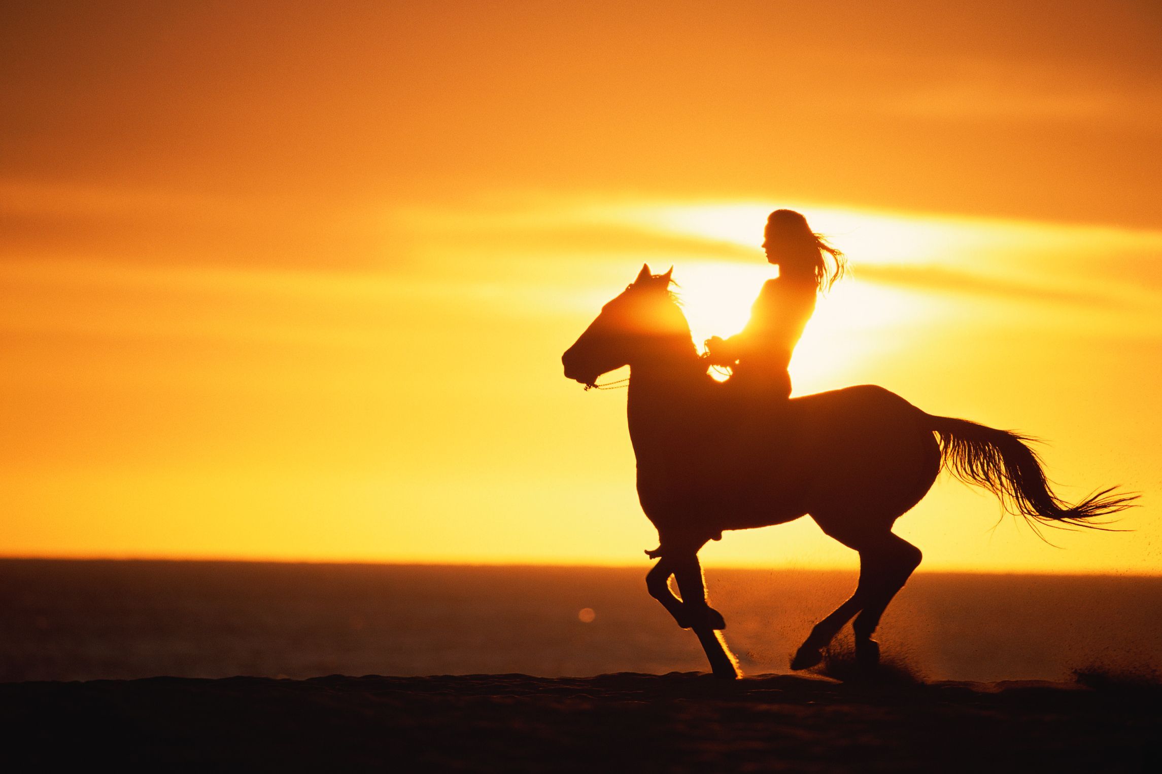 Horse Women Sunset Wallpapers Wallpaper Cave