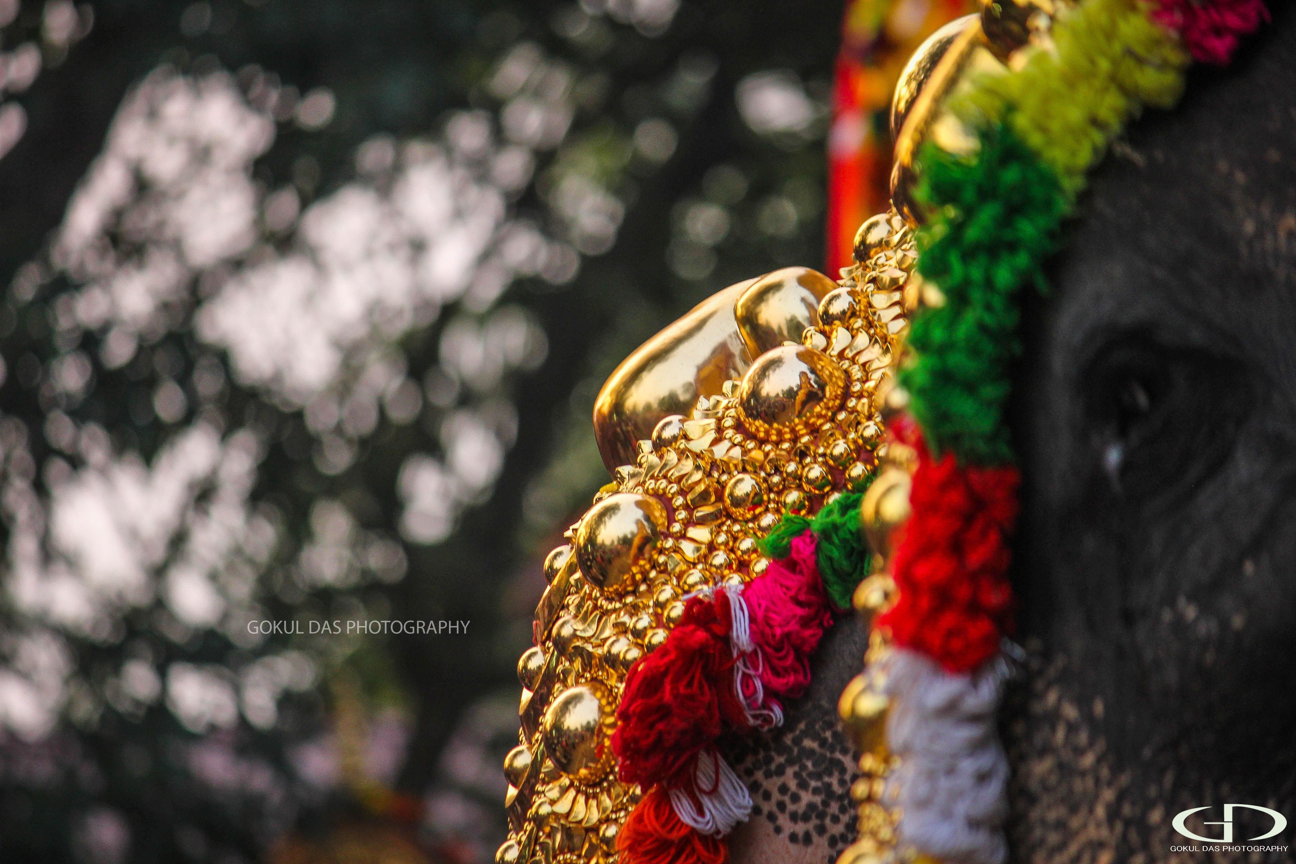 Thrissur Pooram Wallpapers Wallpaper Cave