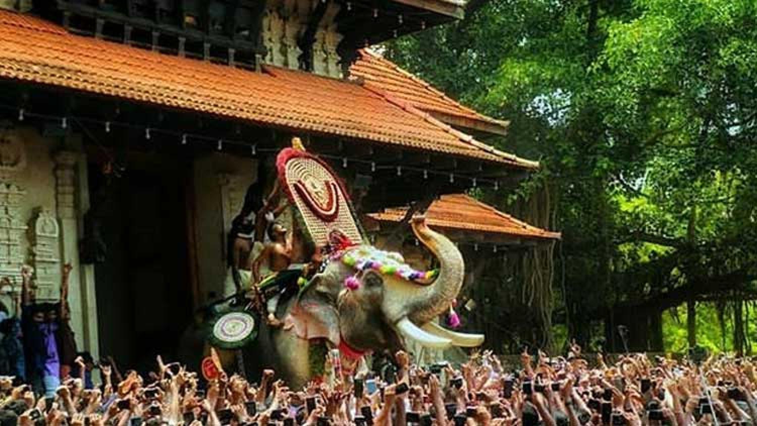 Thrissur Pooram Wallpapers Wallpaper Cave