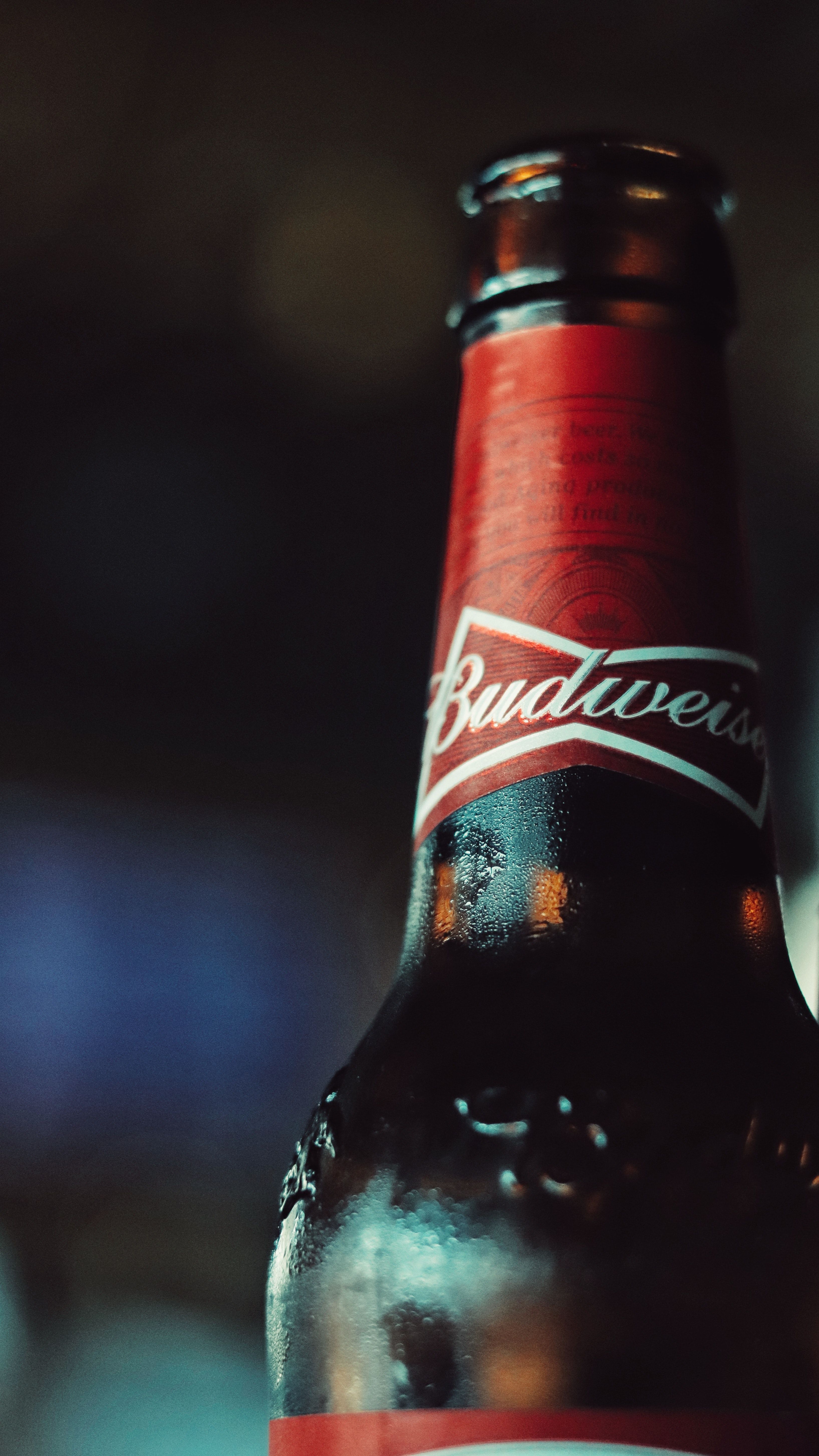Beer Bottle Wallpapers Wallpaper Cave