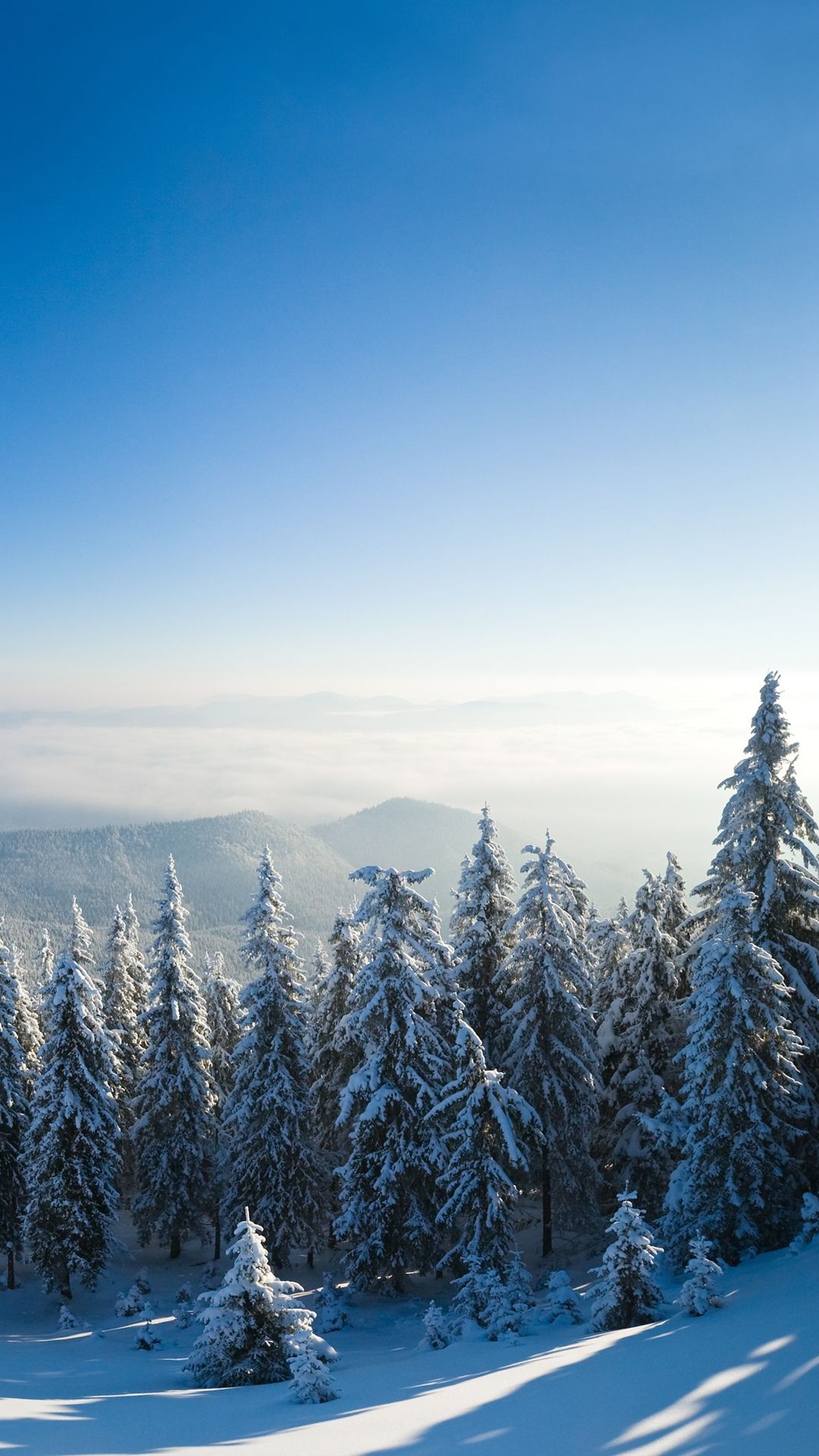 iPhone Winter Trees Wallpapers Wallpaper Cave