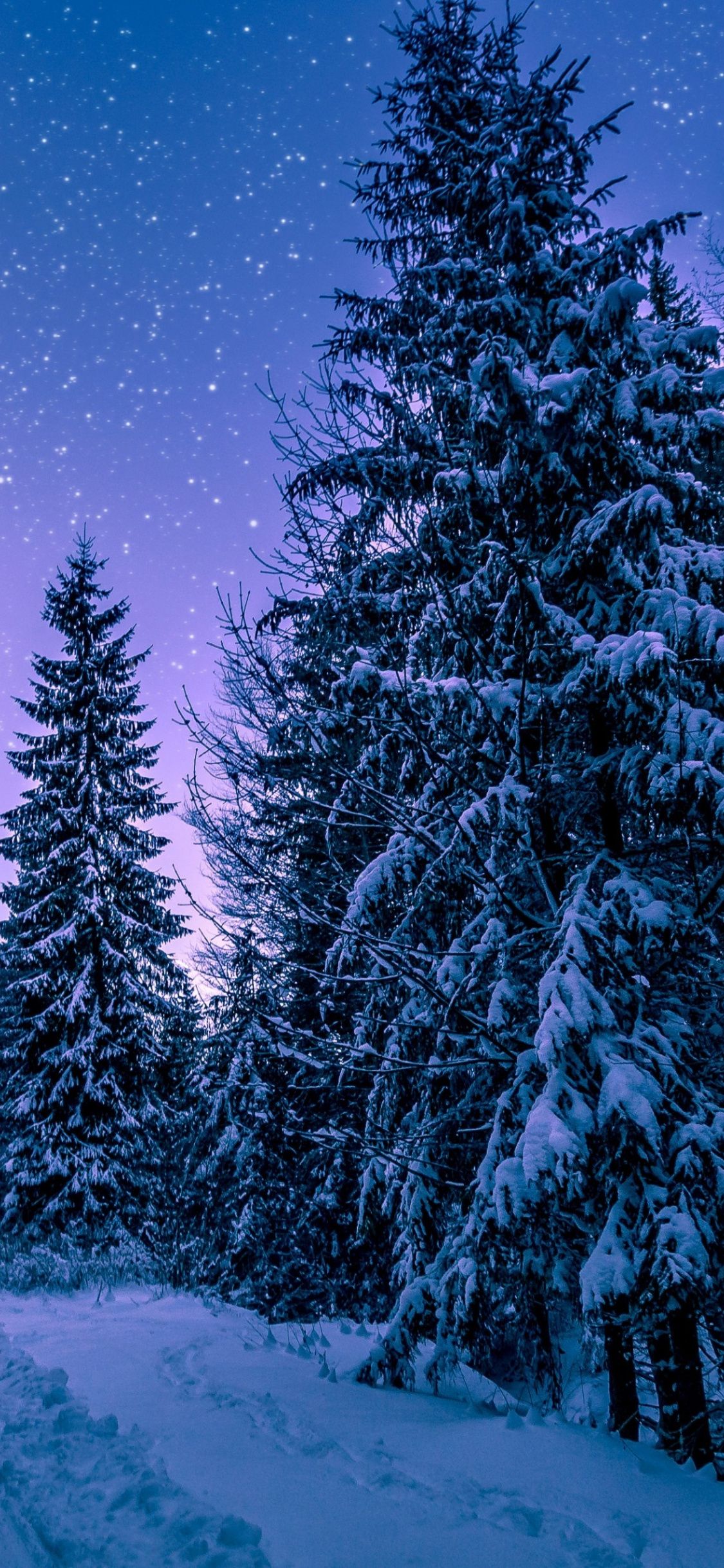 iPhone Winter Trees Wallpapers Wallpaper Cave