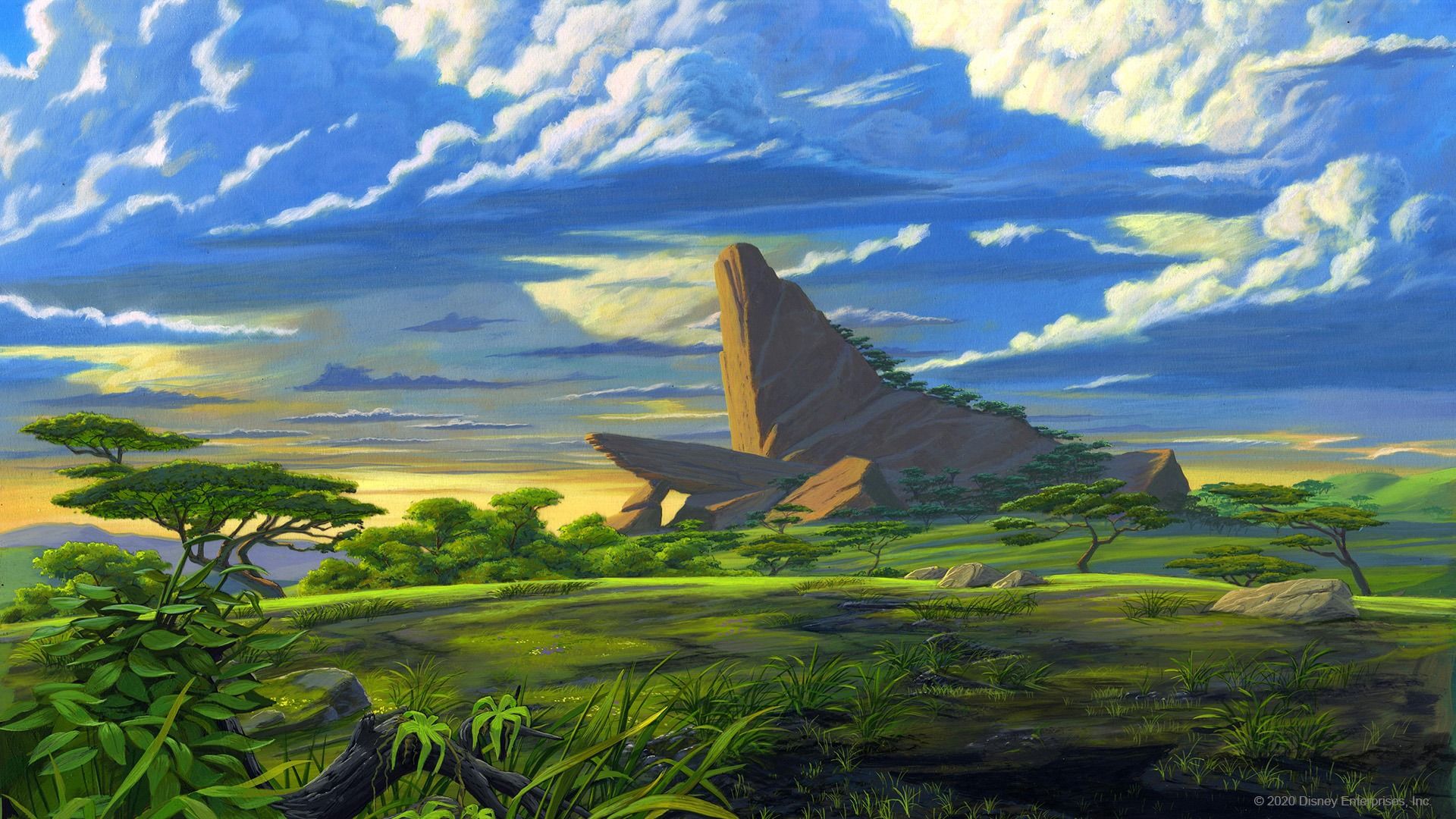 Pride Rock Wallpapers Wallpaper Cave