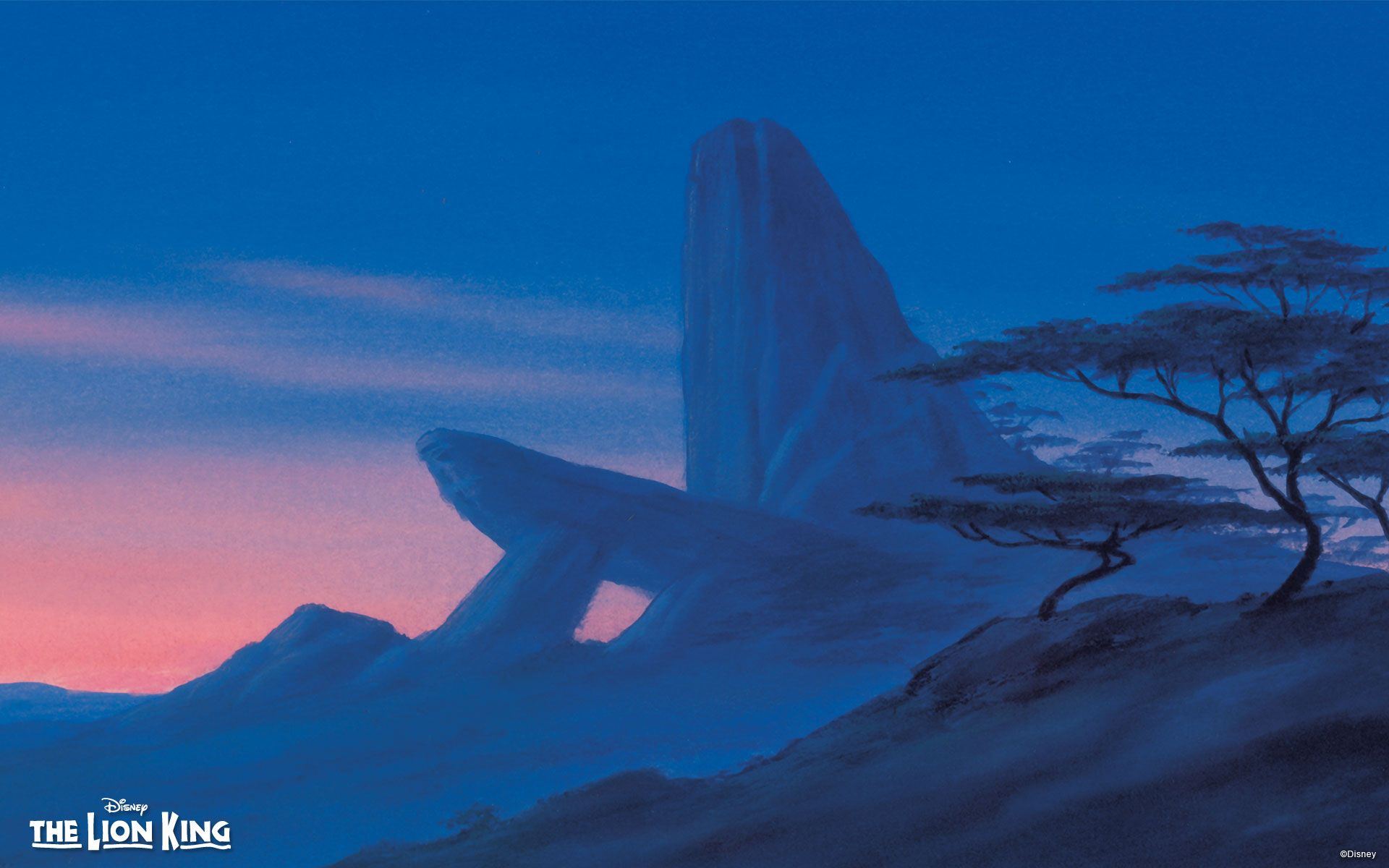 Pride Rock Wallpapers Wallpaper Cave