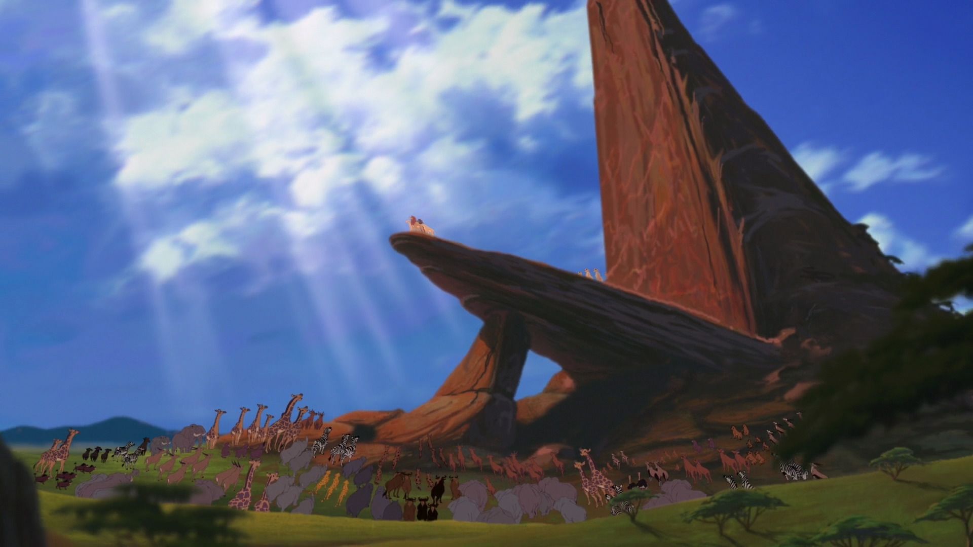 Pride Rock Wallpapers Wallpaper Cave