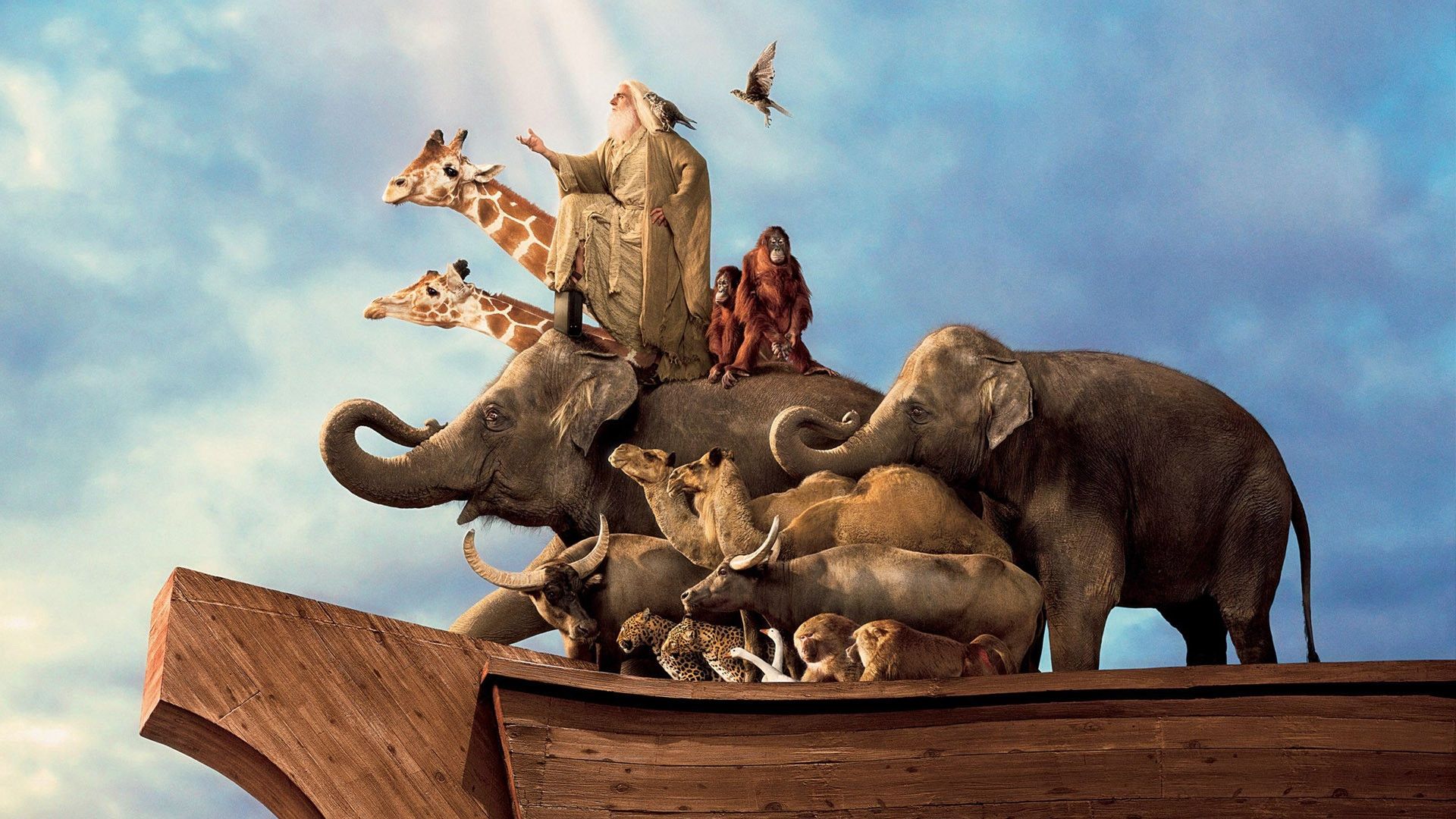Noah's Ark Wallpapers Wallpaper Cave