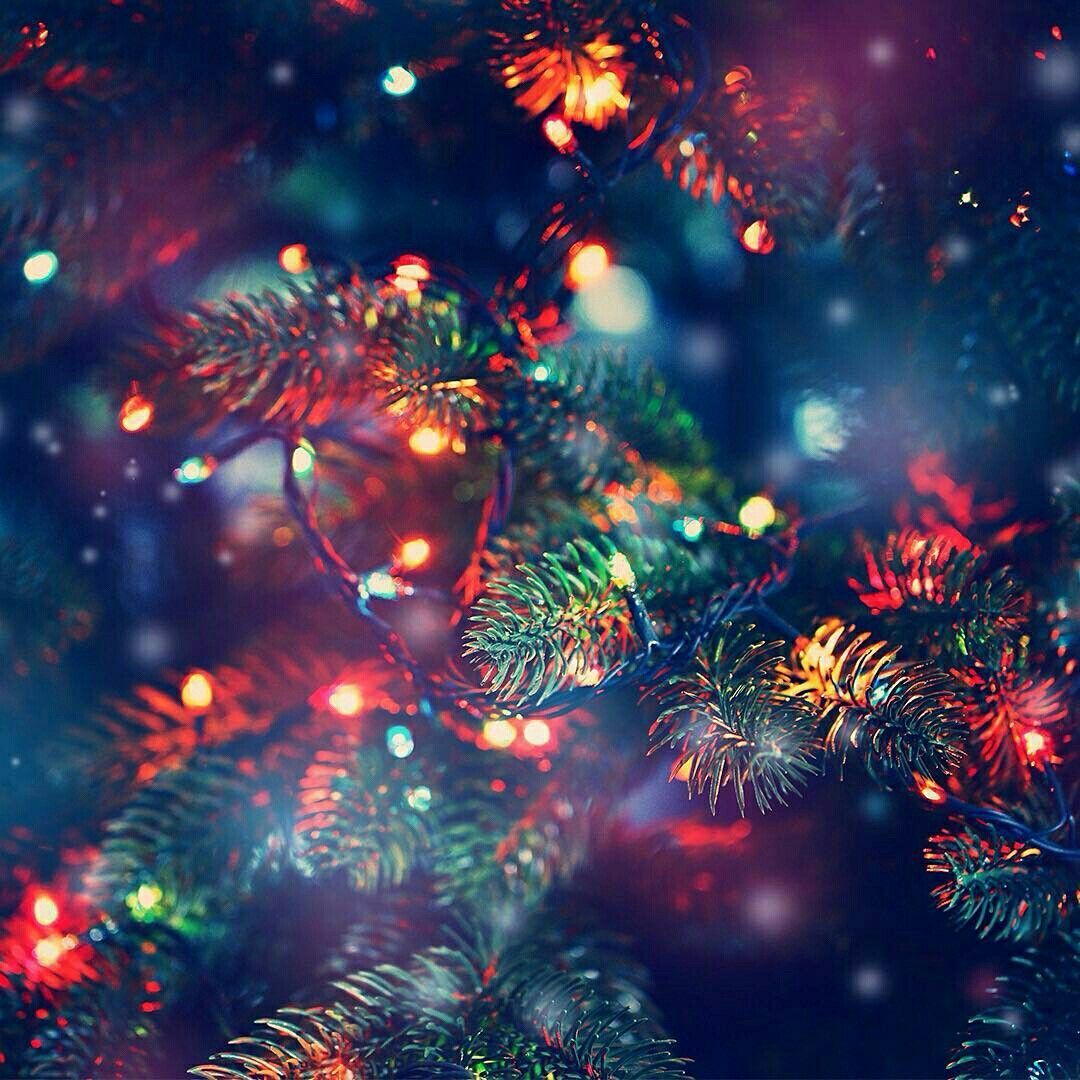 Christmas Decors Lights Wallpapers Wallpaper Cave