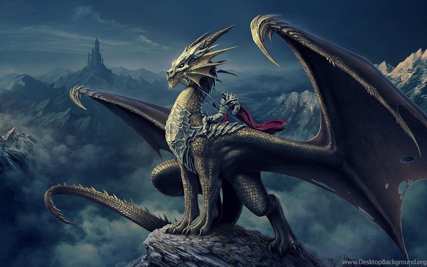 Dragon Tamer Wallpapers Wallpaper Cave