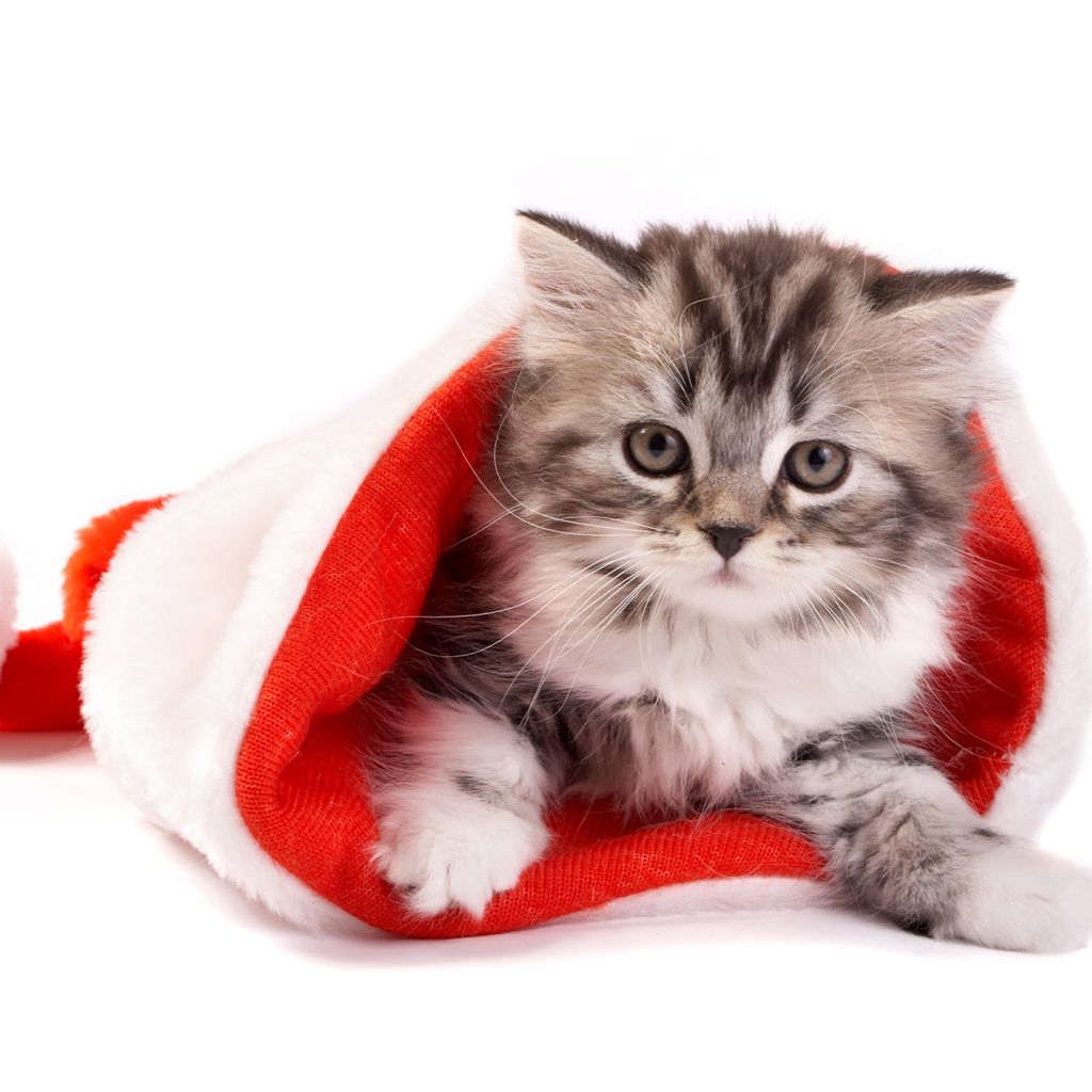Cute Christmas iPad Wallpapers Wallpaper Cave