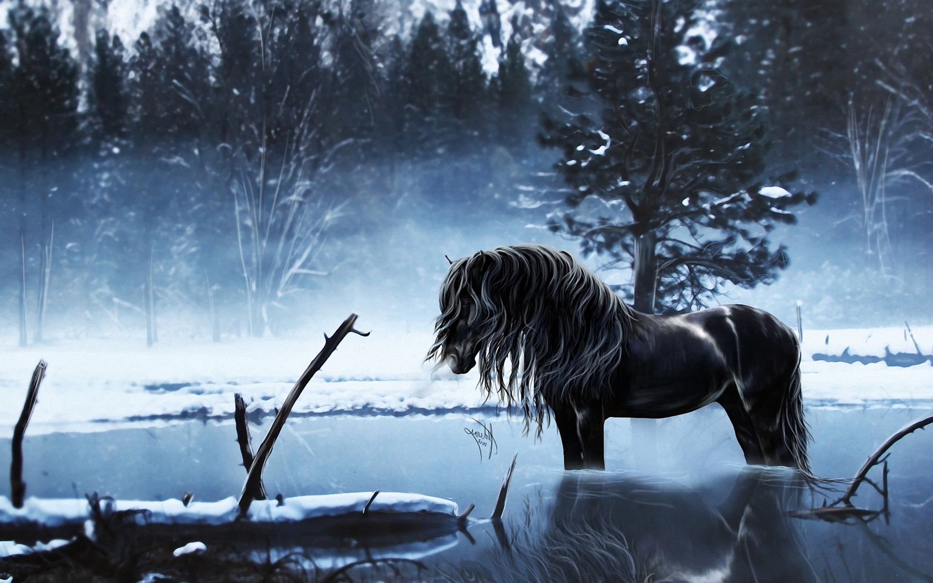 Anime Winter Horse Wallpapers Wallpaper Cave