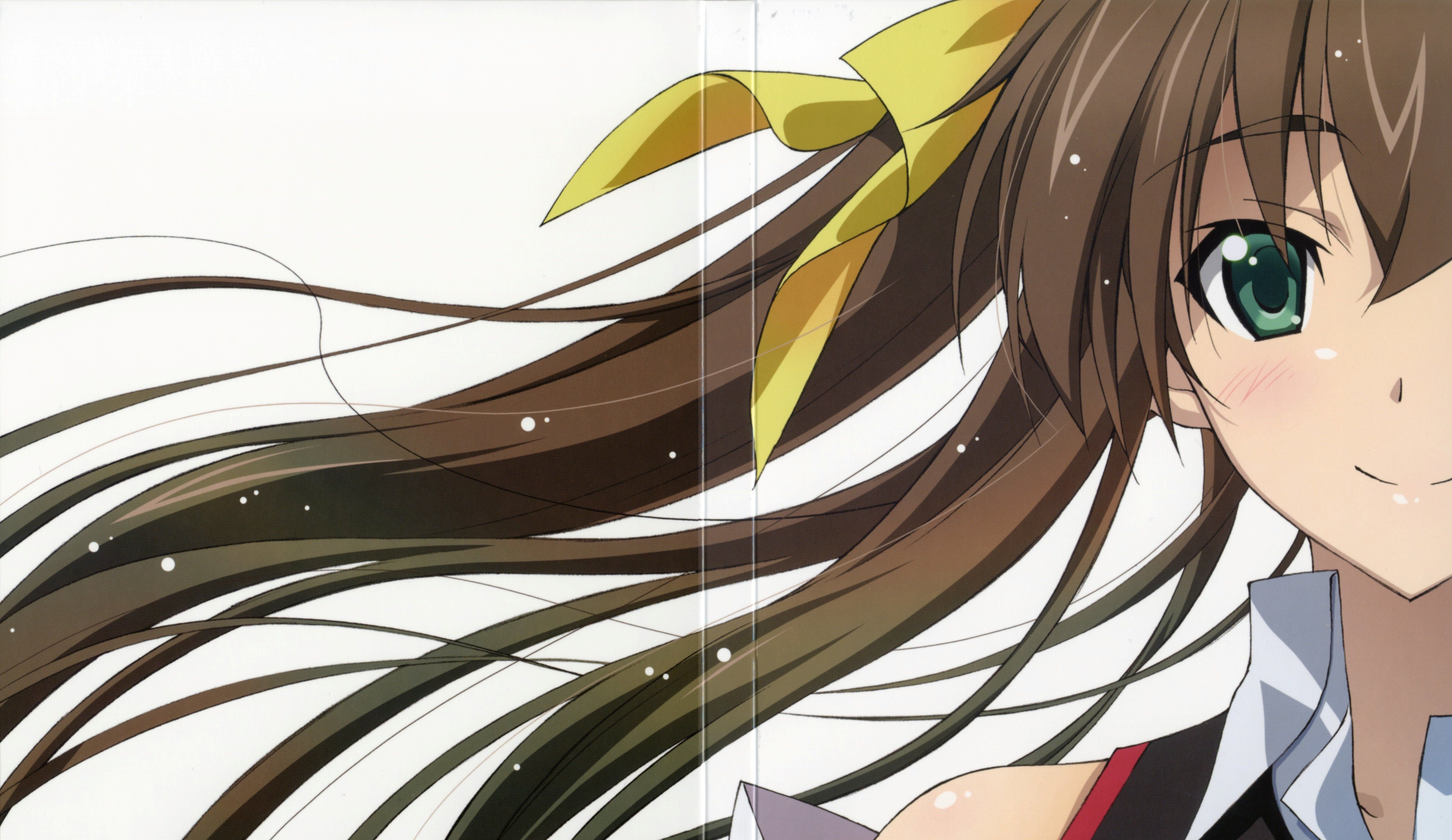 Infinite Stratos Characters Wallpapers Wallpaper Cave