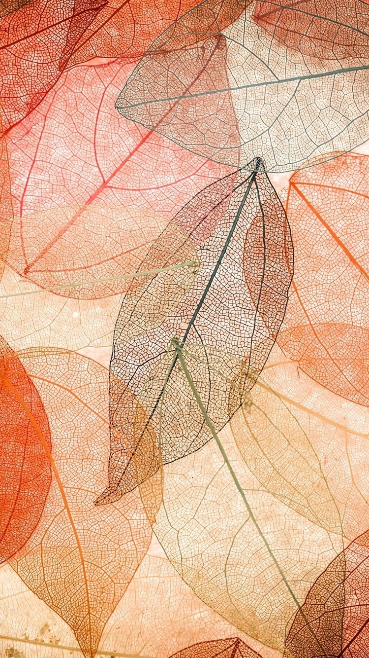 Abstract Autumn Wallpapers Wallpaper Cave