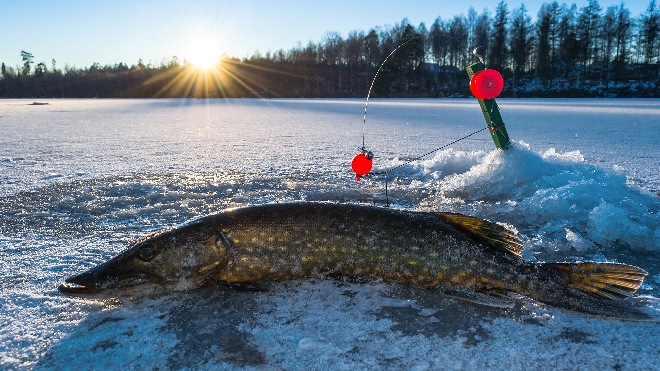 Winter Fishing Wallpapers Wallpaper Cave