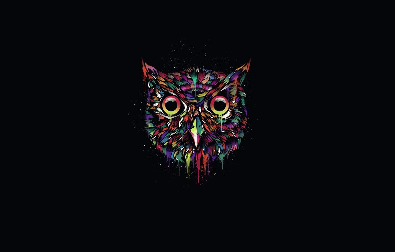 Black Owl Wallpapers Wallpaper Cave
