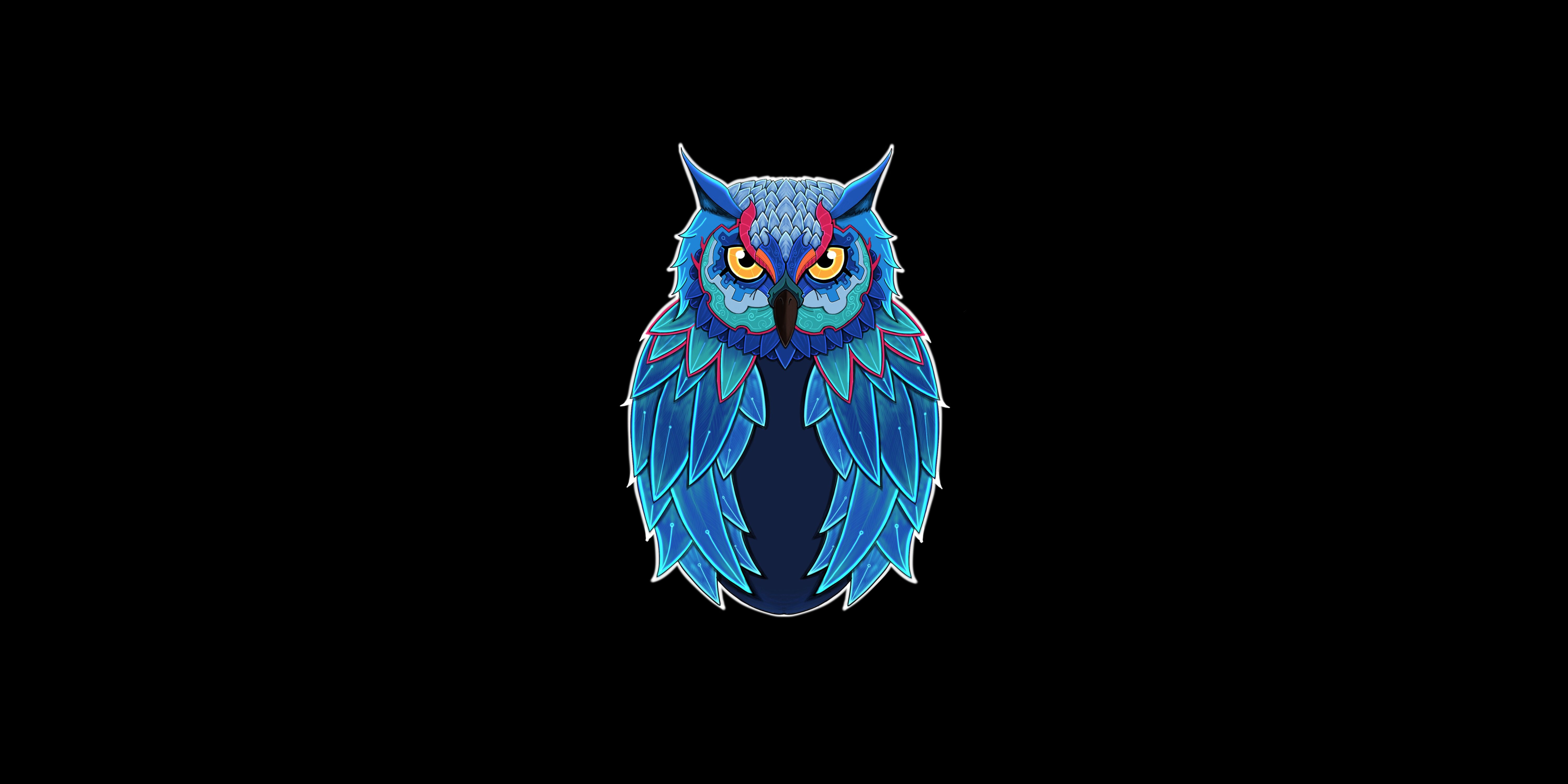Black Owl Wallpapers Wallpaper Cave