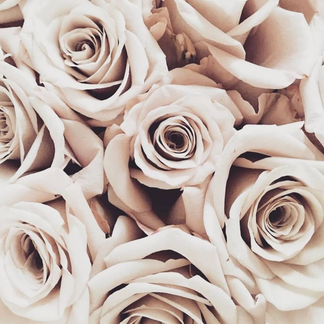 Cream Color Aesthetic Wallpapers Wallpaper Cave