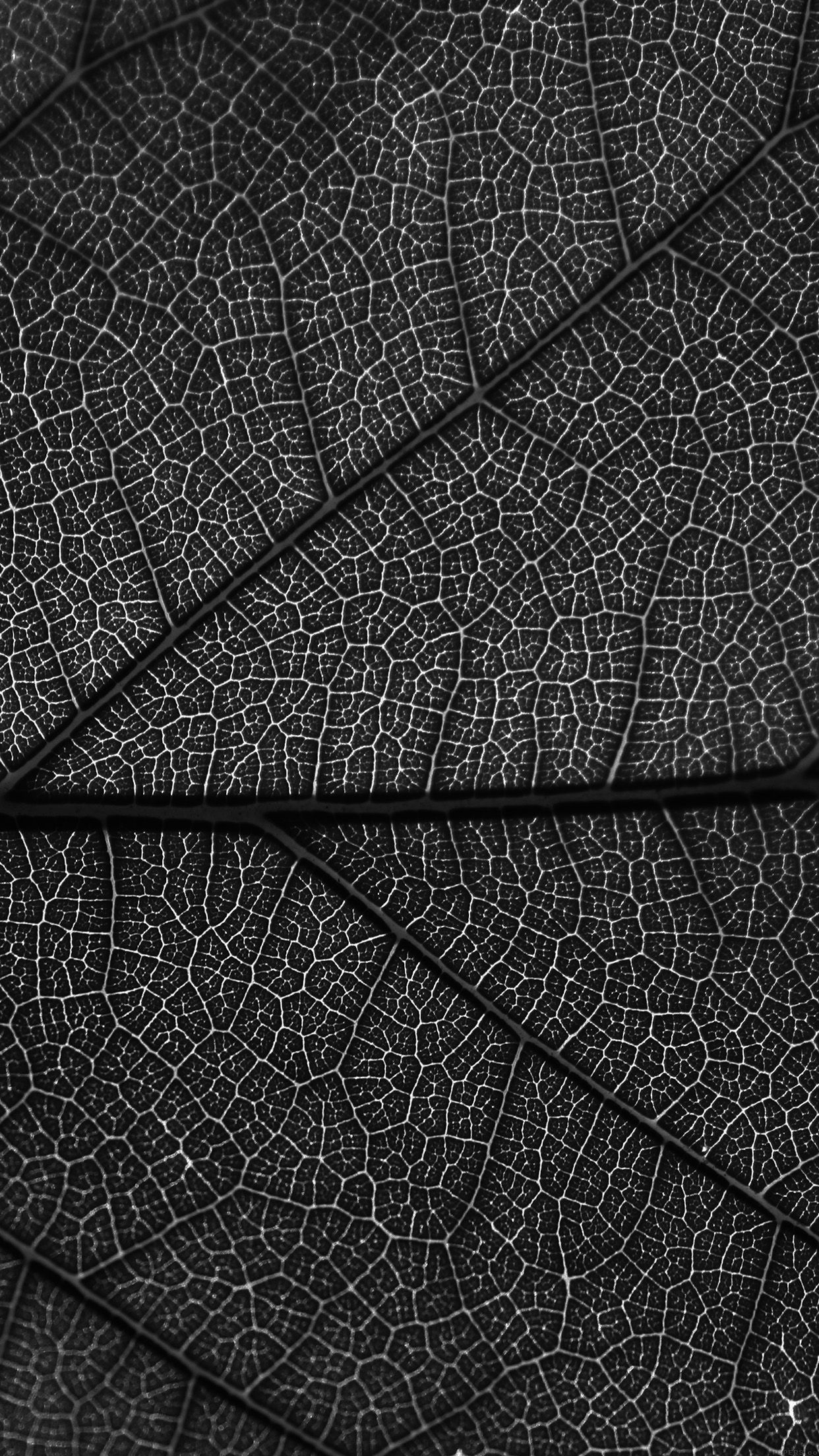 Black HD Android Leaf Wallpapers Wallpaper Cave