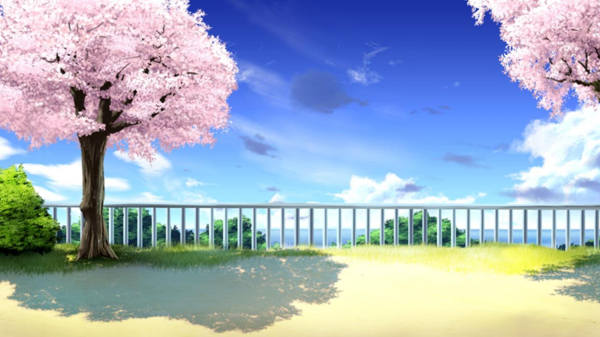 Anime Cherry Blossom Landscape Wallpapers Wallpaper Cave