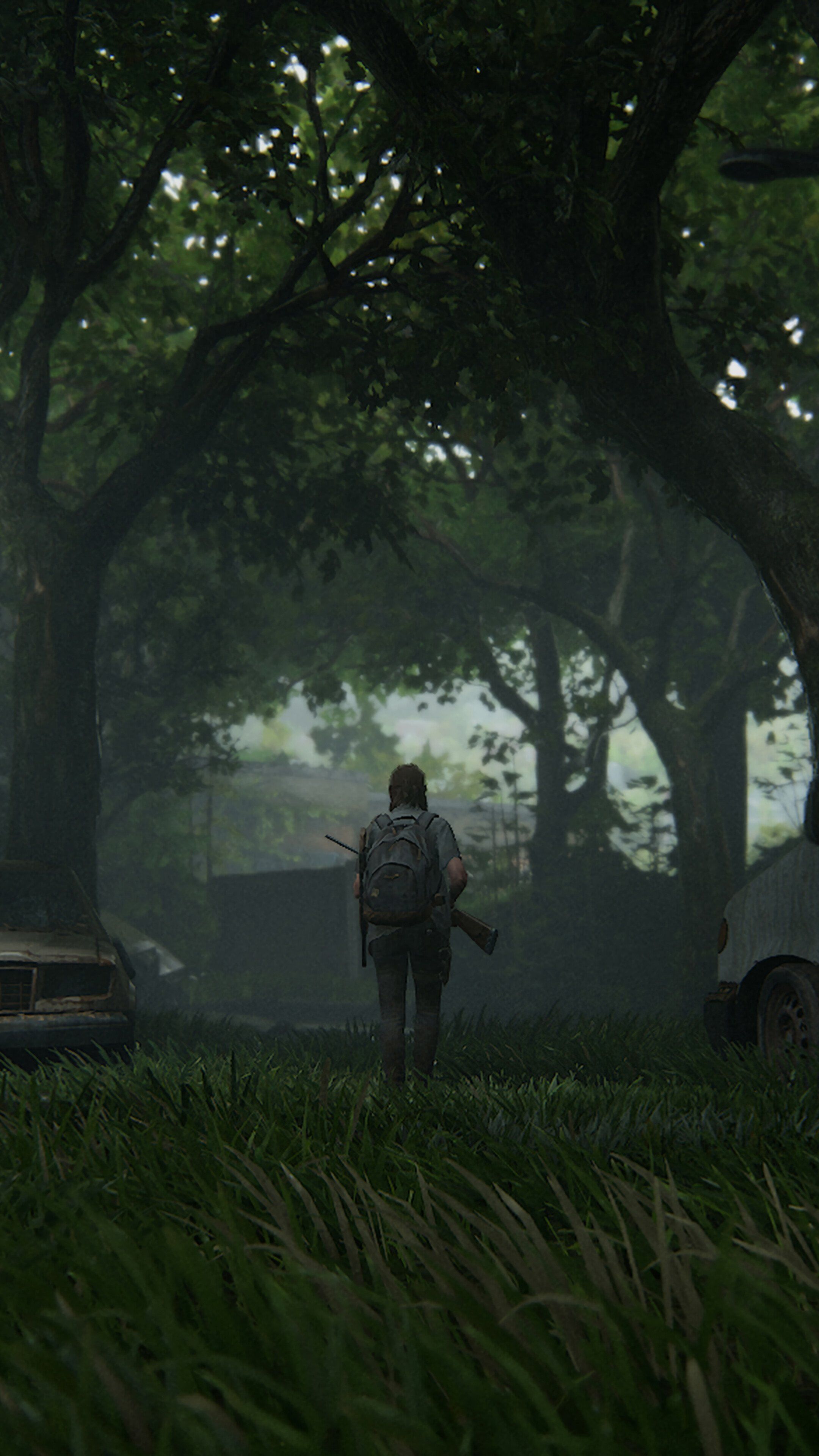 The Last Of Us 2 4k iPhone Wallpapers Wallpaper Cave