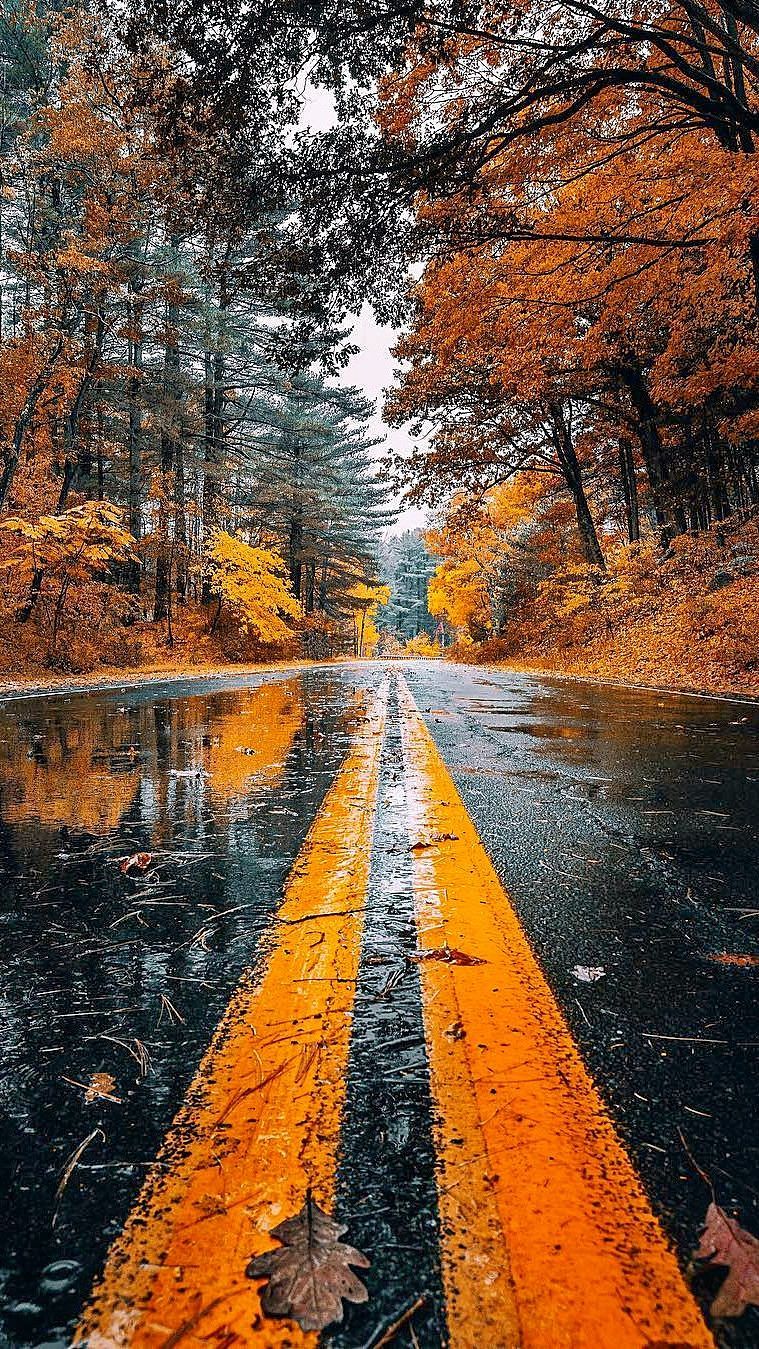 iPhone 12 Autumn Wallpapers Wallpaper Cave