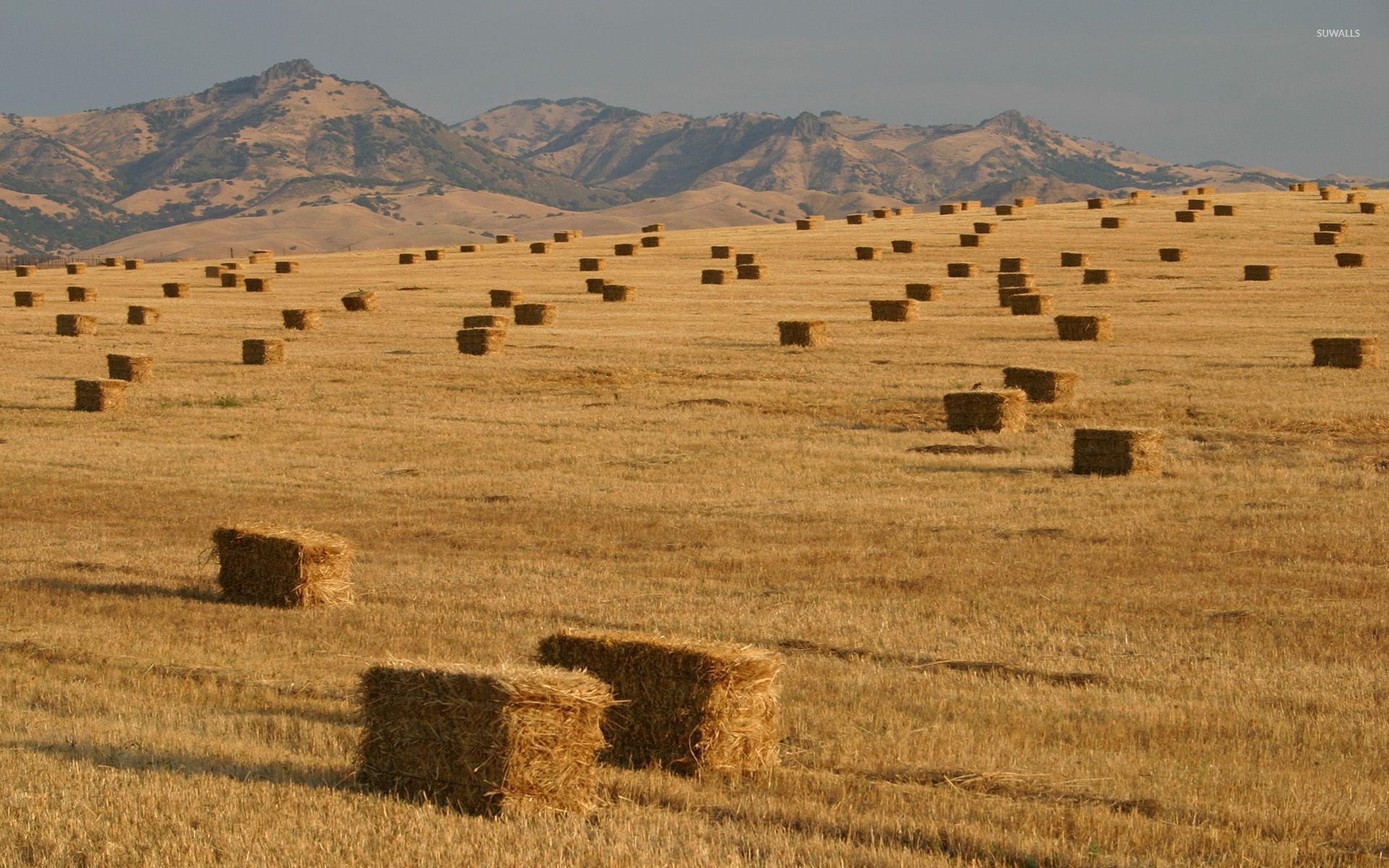 Hay Bales Wallpapers Wallpaper Cave