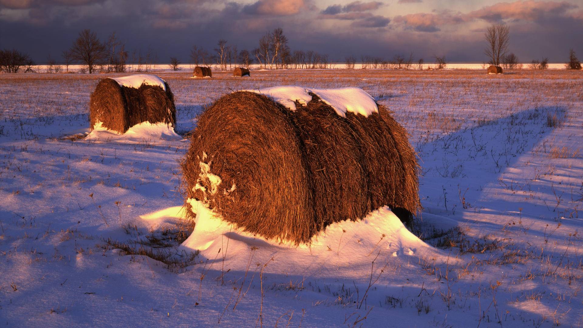 Hay Bales Wallpapers Wallpaper Cave