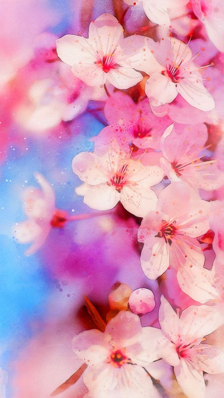 Peach Blossom Wallpapers Wallpaper Cave
