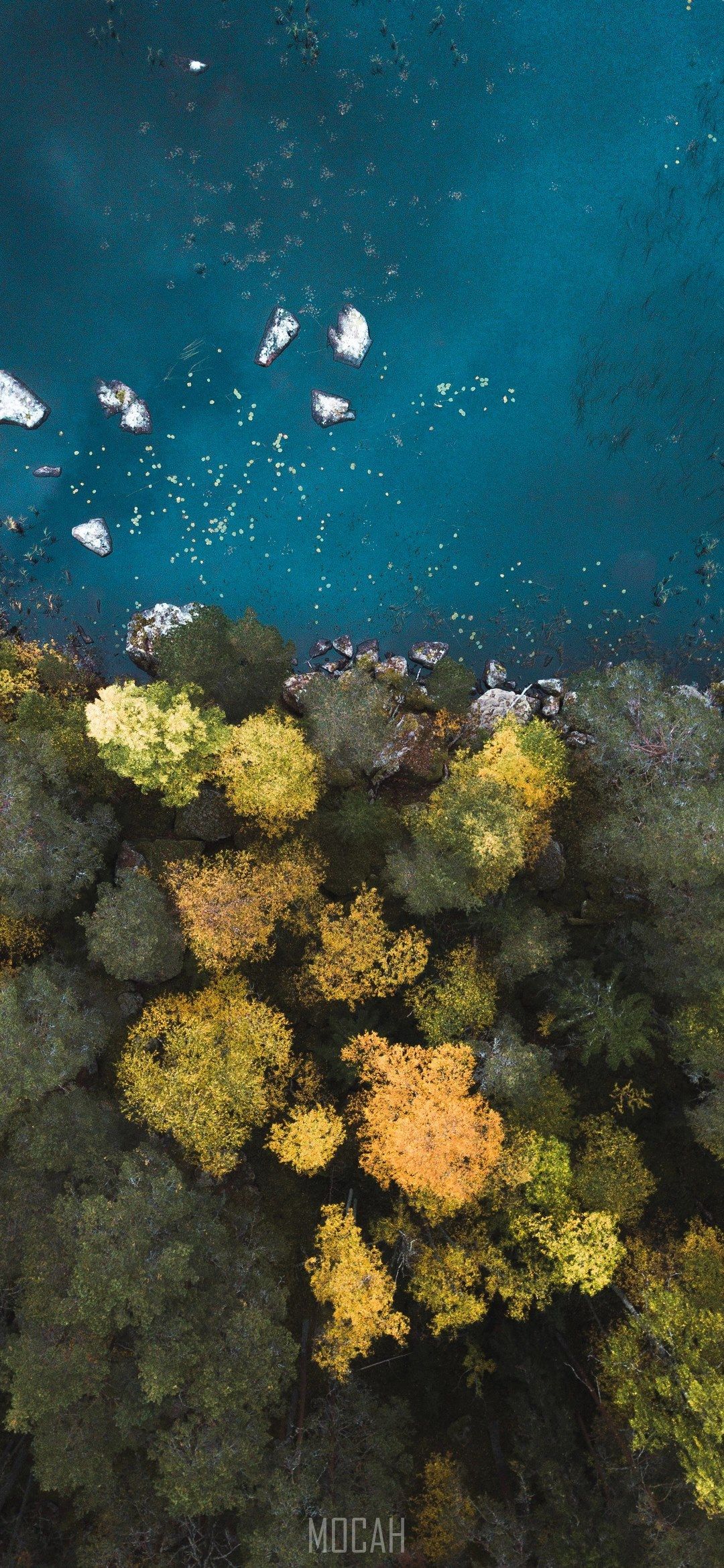 Oppo Reno 5G Wallpapers Wallpaper Cave