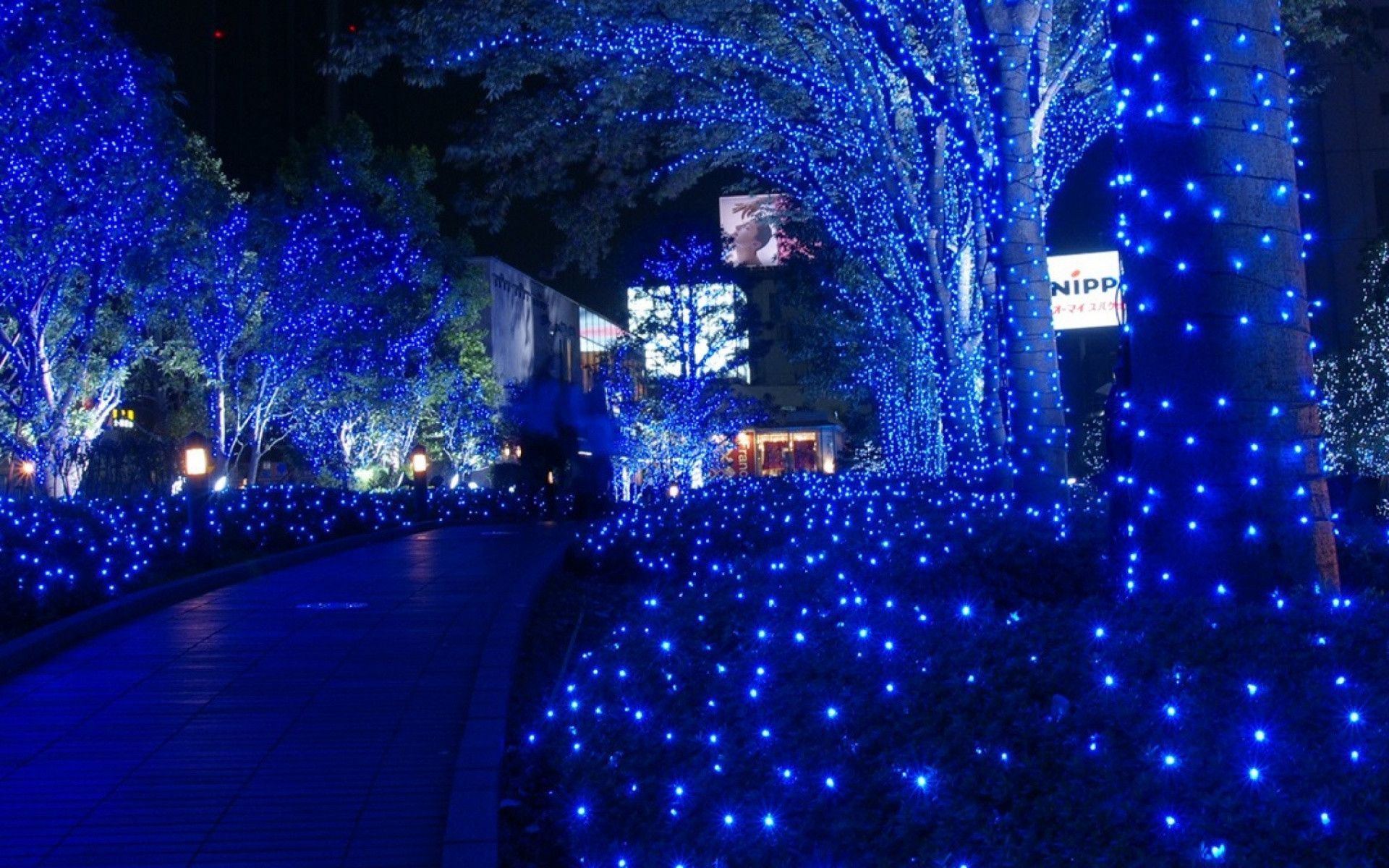 Cute Christmas Lights Wallpapers Wallpaper Cave