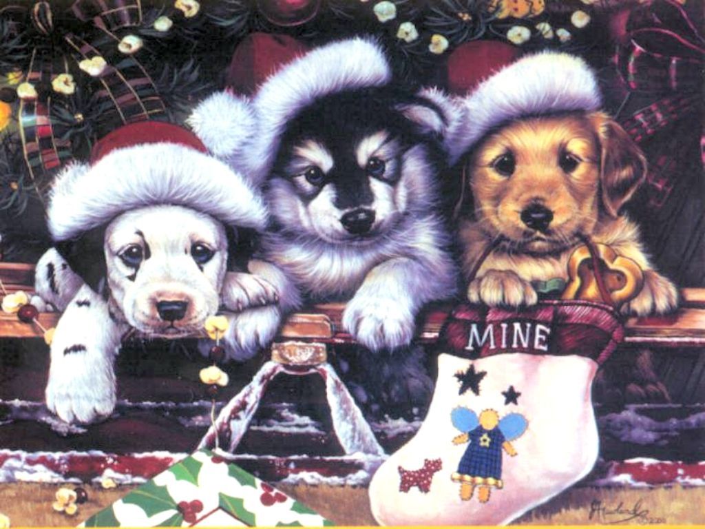Christmas Animals Cute Wallpapers Wallpaper Cave