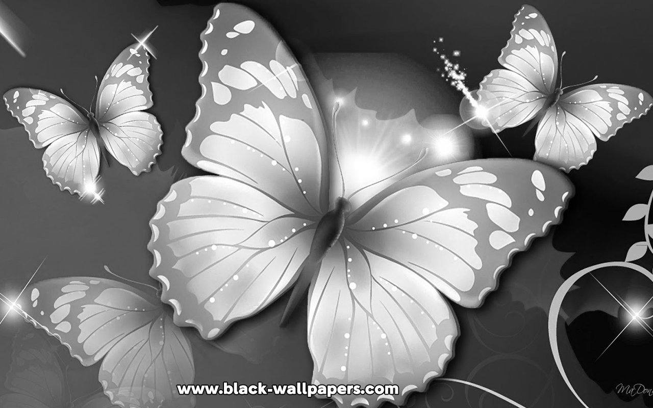 Girly Black Wallpapers Wallpaper Cave