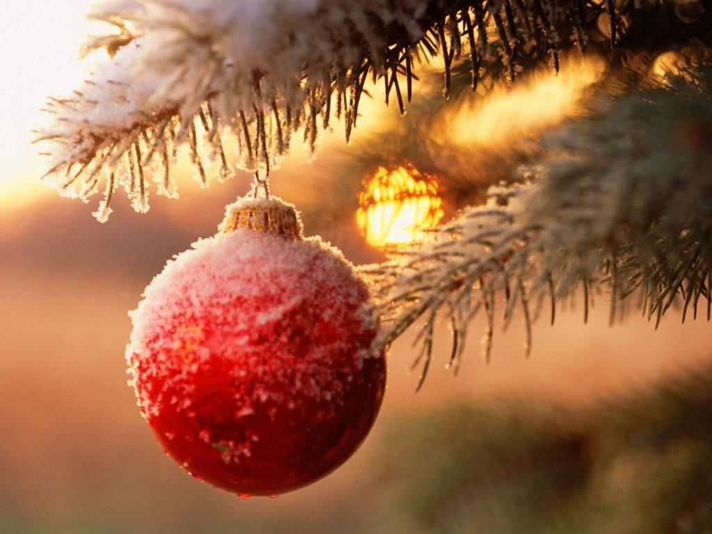 Christmas Tree Ornament Wallpapers Wallpaper Cave