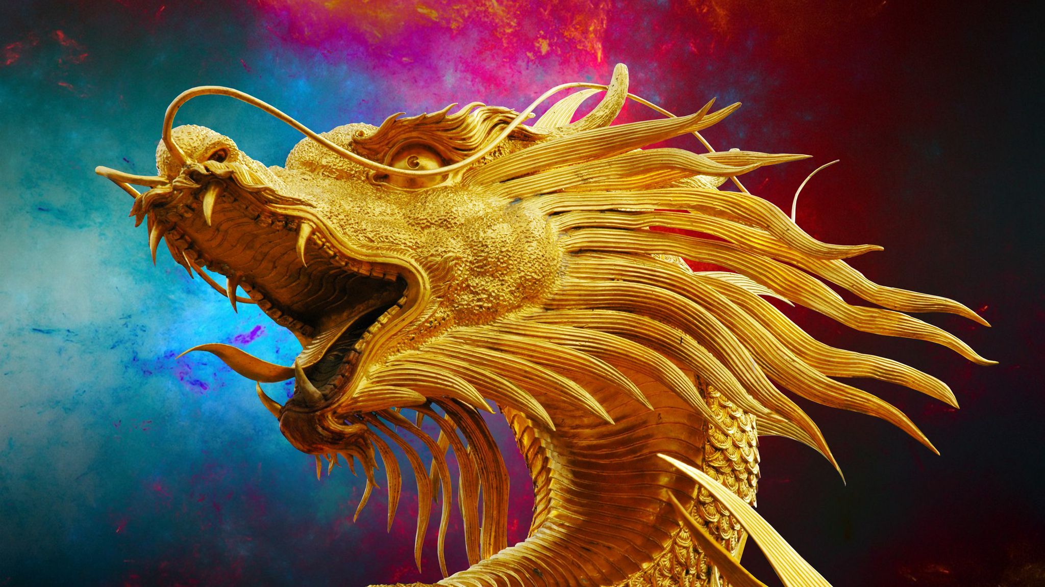 Dragon Face Wallpapers Wallpaper Cave