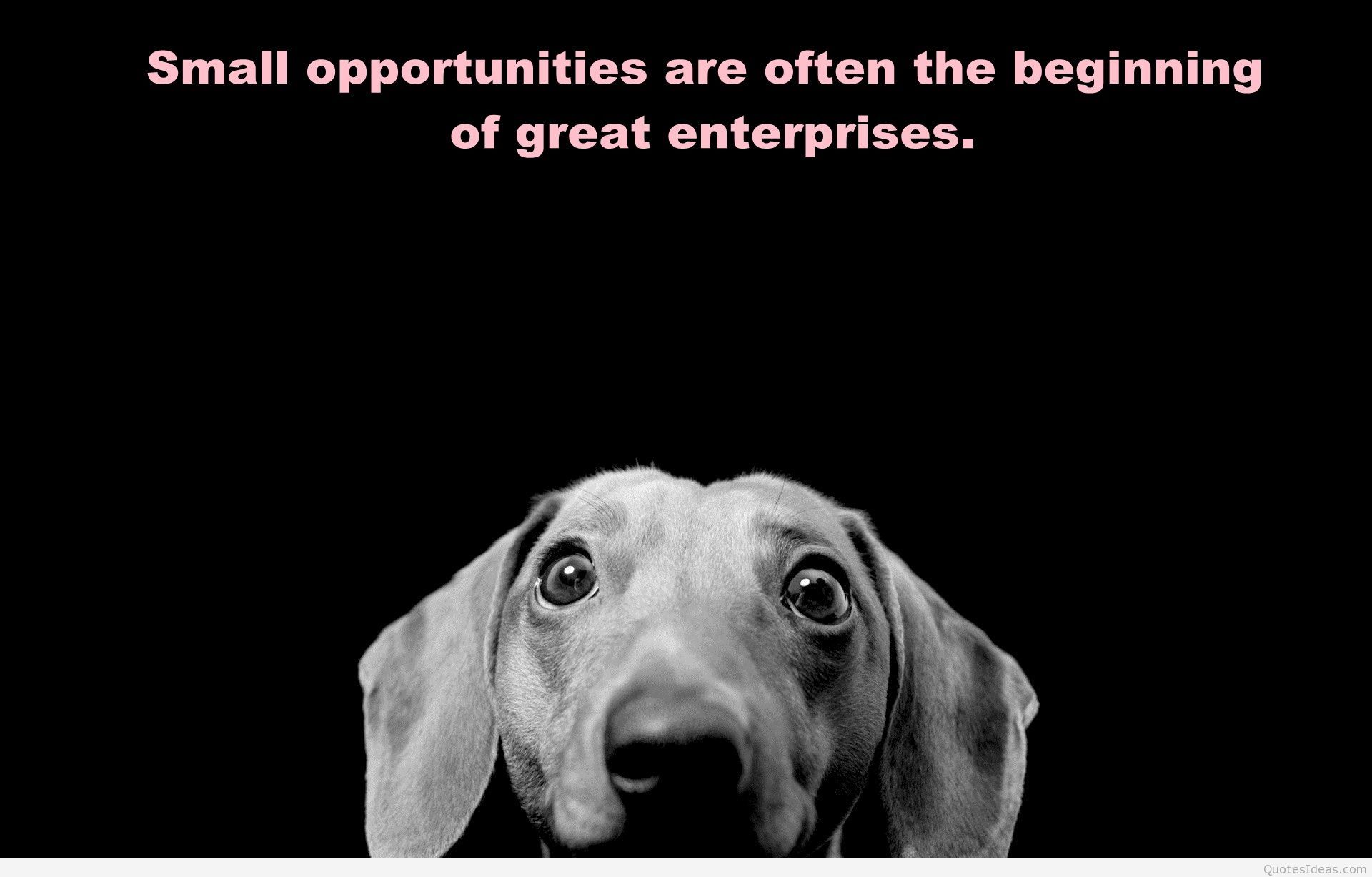 Dog Quotes Wallpapers Wallpaper Cave