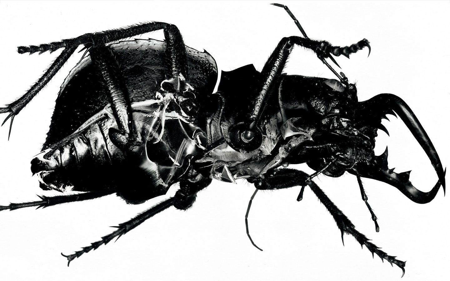 Massive Attack Wallpapers Wallpaper Cave