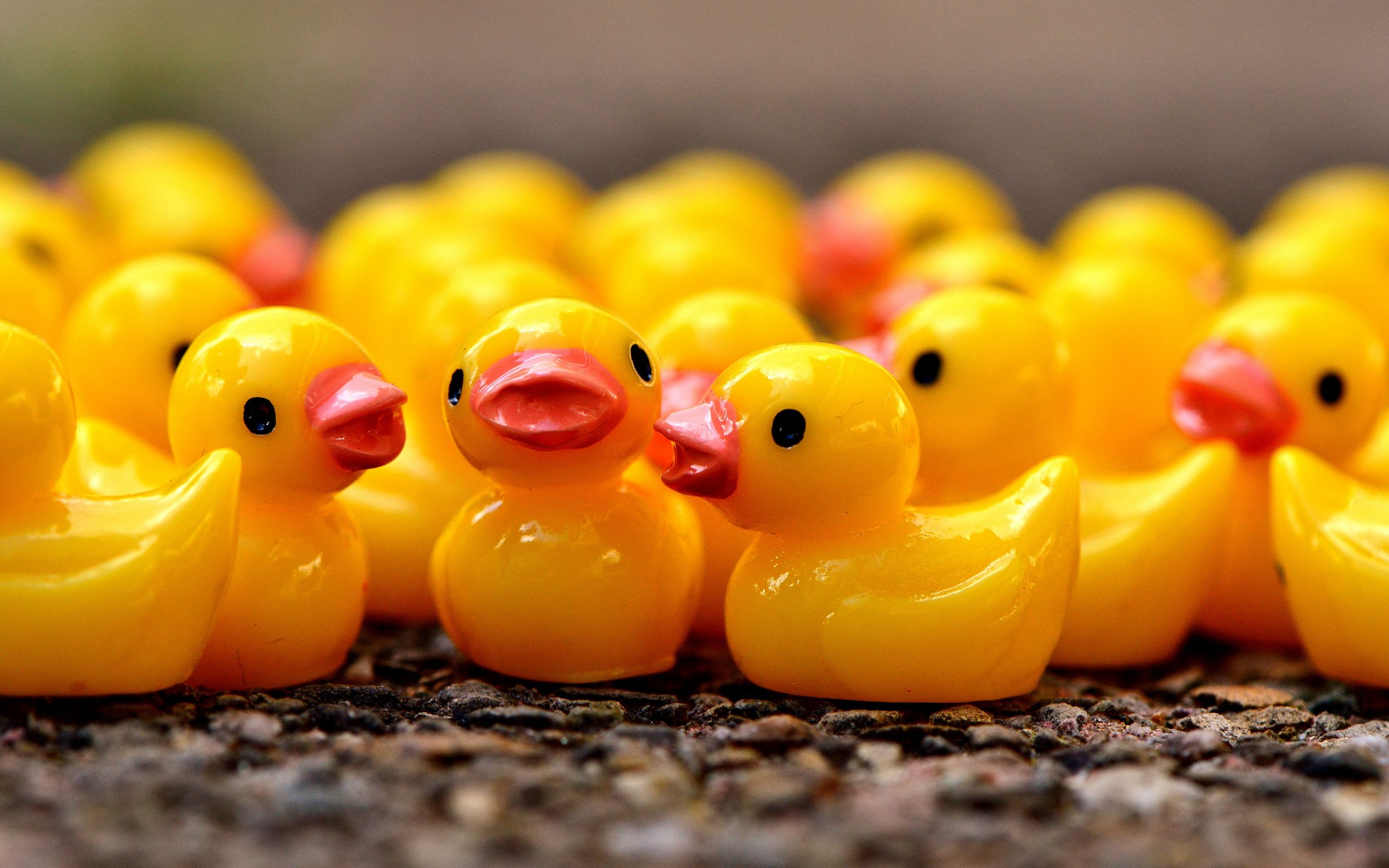 Rubber Duck Backgrounds