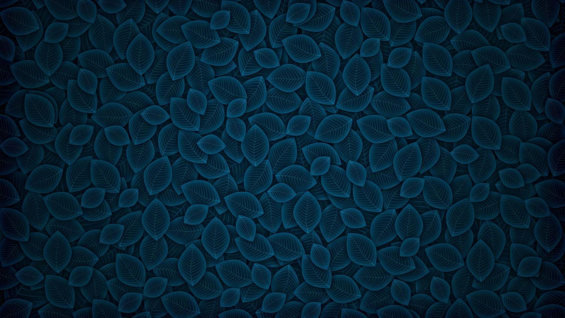 Amazon Alexa Wallpapers Wallpaper Cave