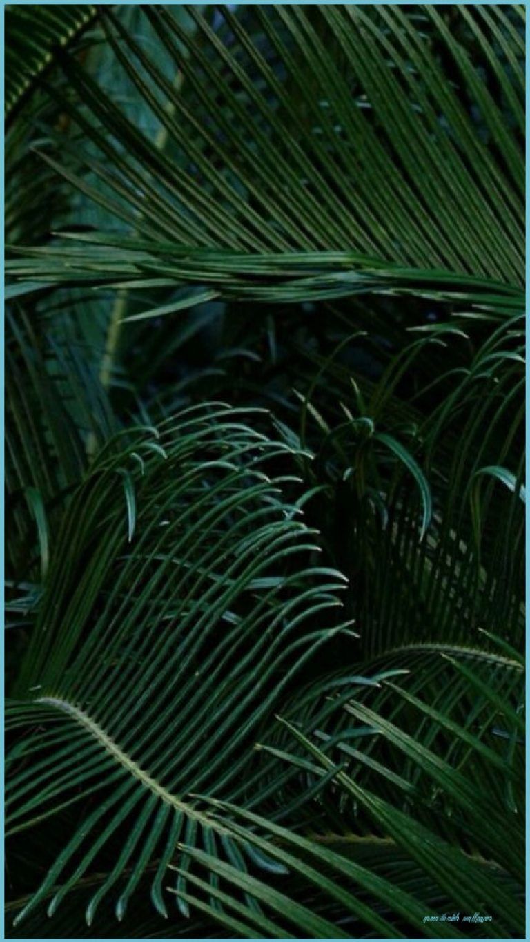 Tumblr Backgrounds Green