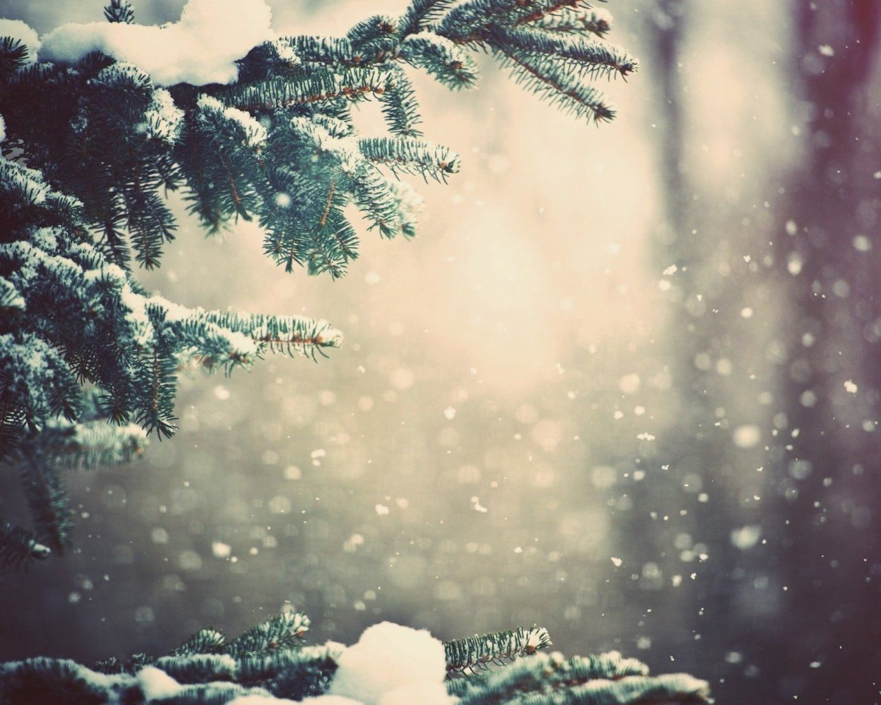 Christmas Branches Wallpapers Wallpaper Cave