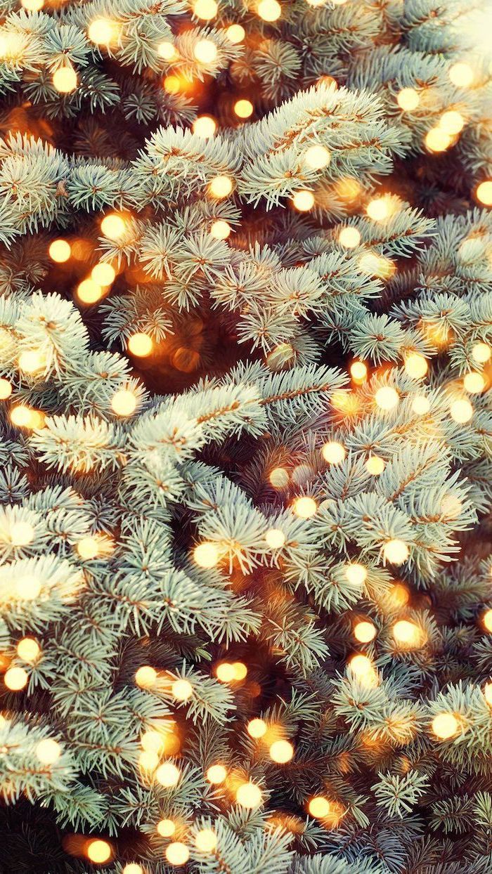 Christmas Branches Wallpapers Wallpaper Cave