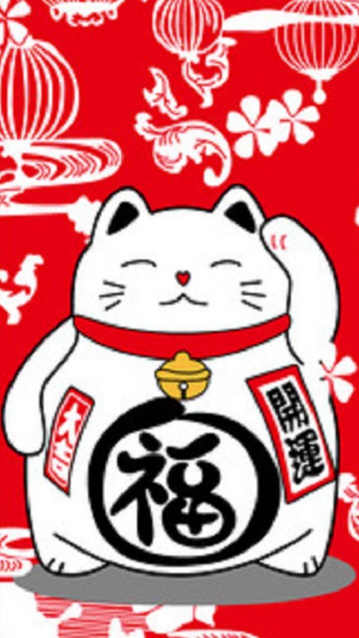 Lucky Cat Wallpapers Wallpaper Cave