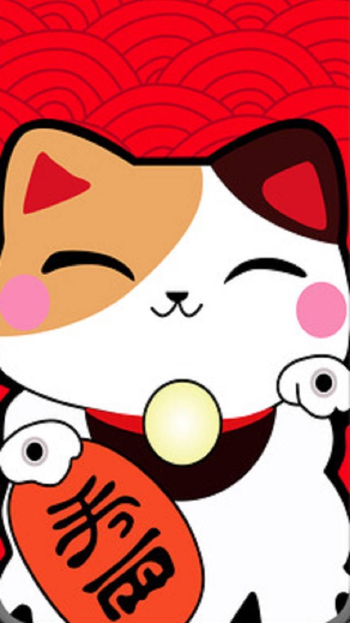 Lucky Cat Wallpapers Wallpaper Cave