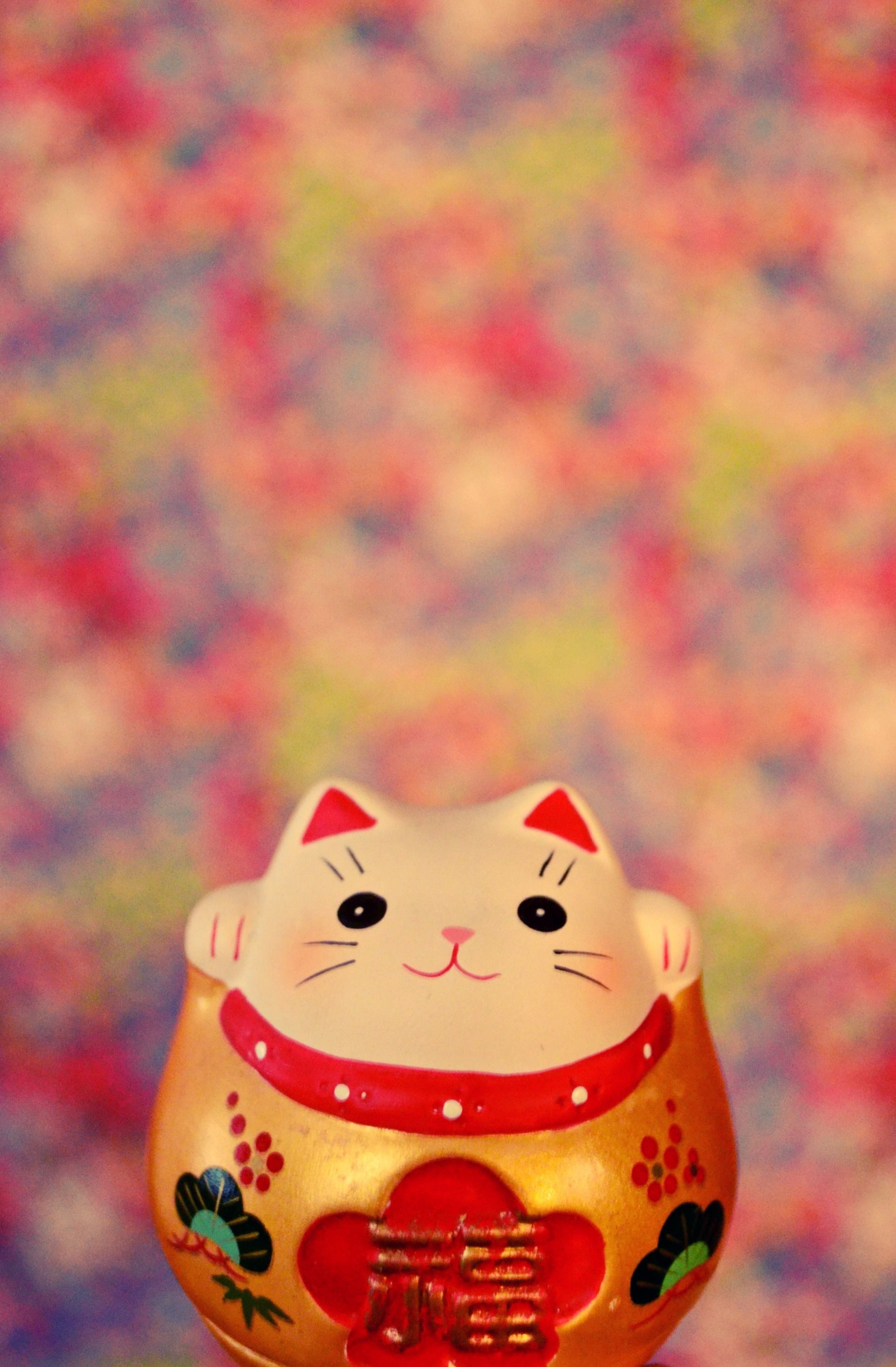 Lucky Cat Wallpapers Wallpaper Cave