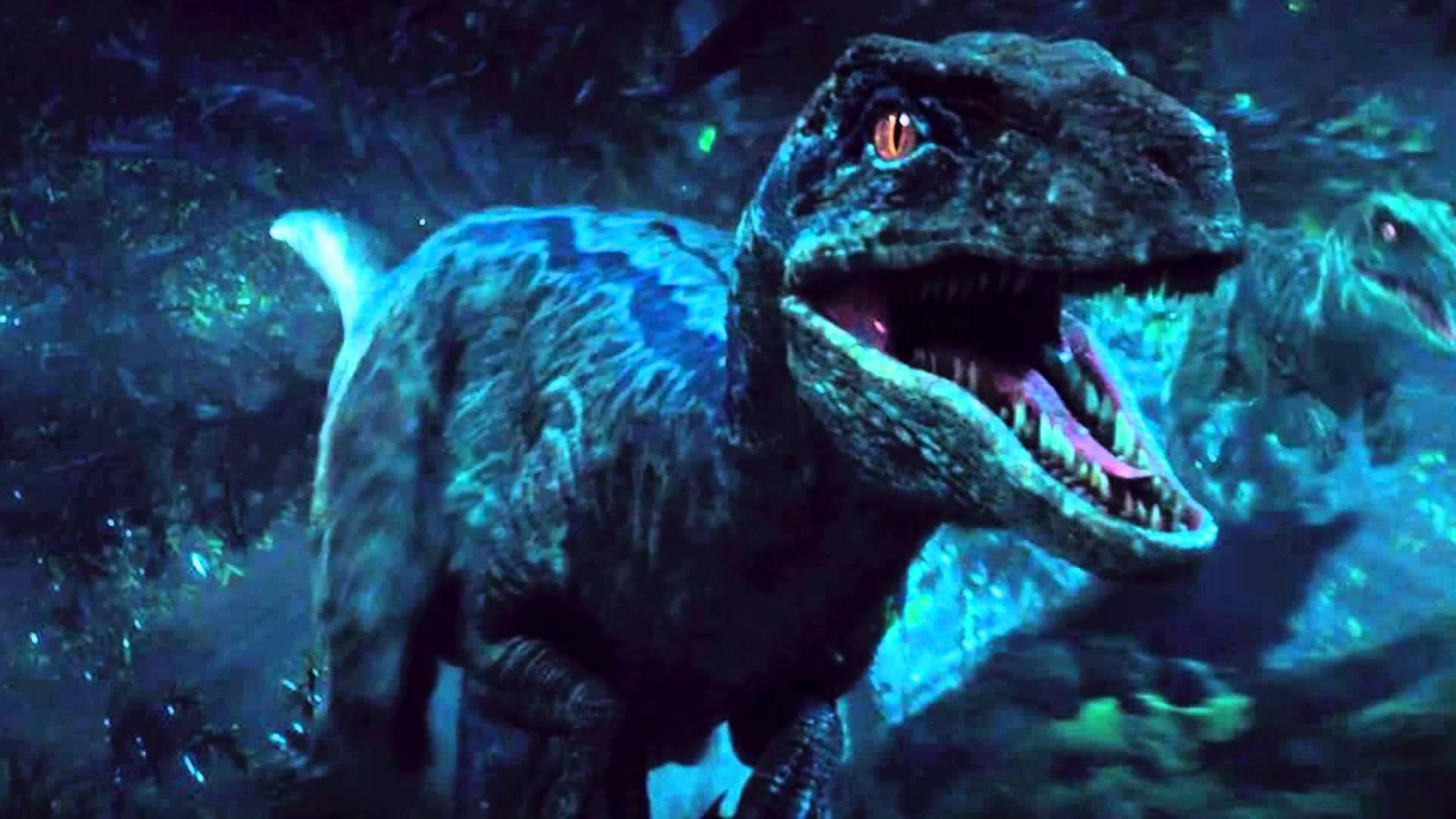 Blue Raptor Wallpapers Wallpaper Cave